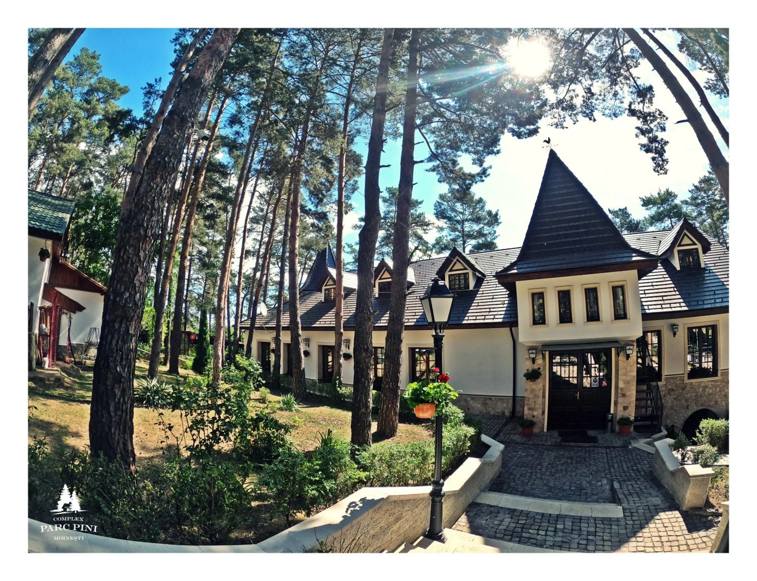 Complex Parc Pini Moinesti