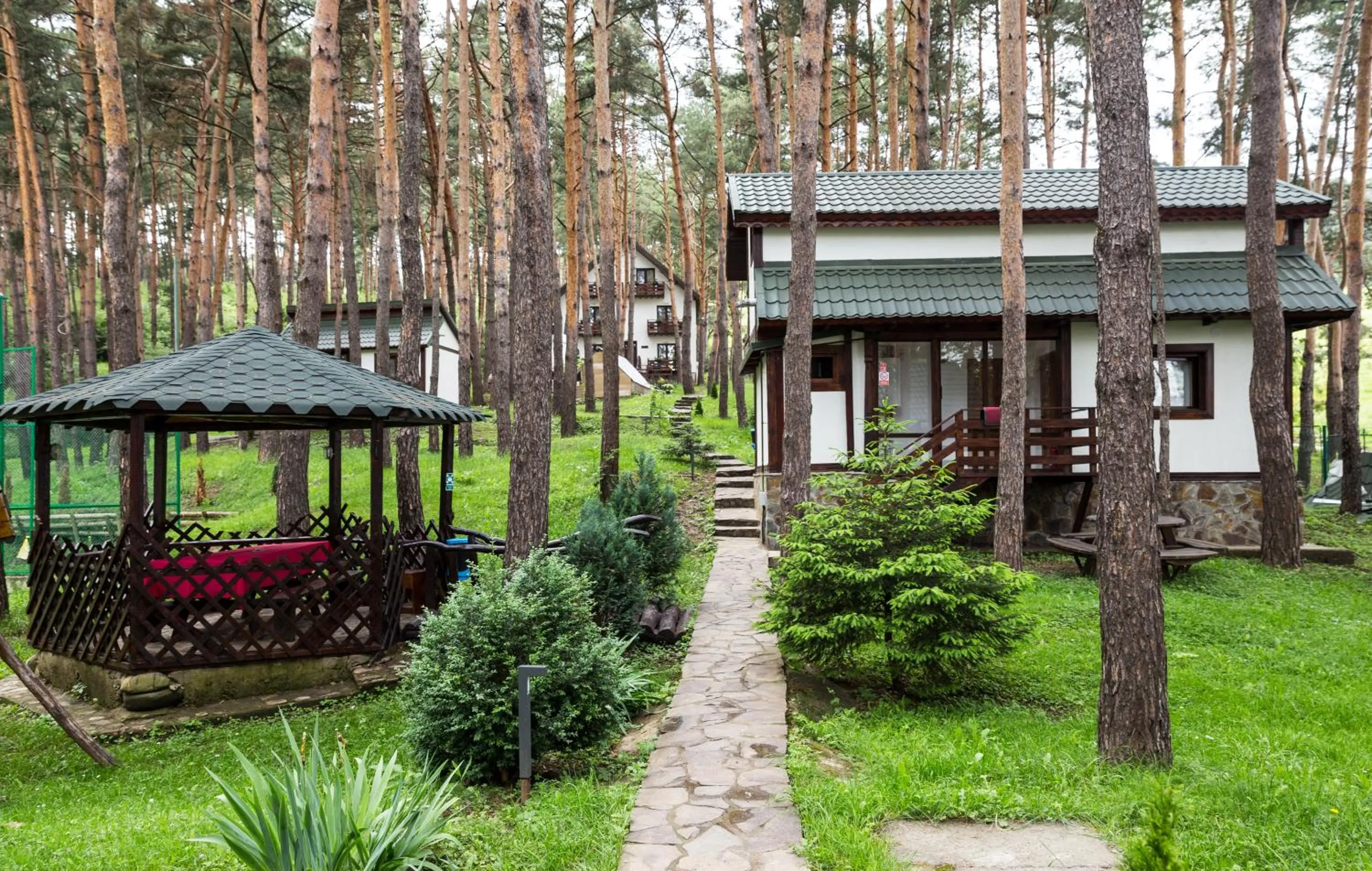 Garden in Complex Parc Pini Moinesti