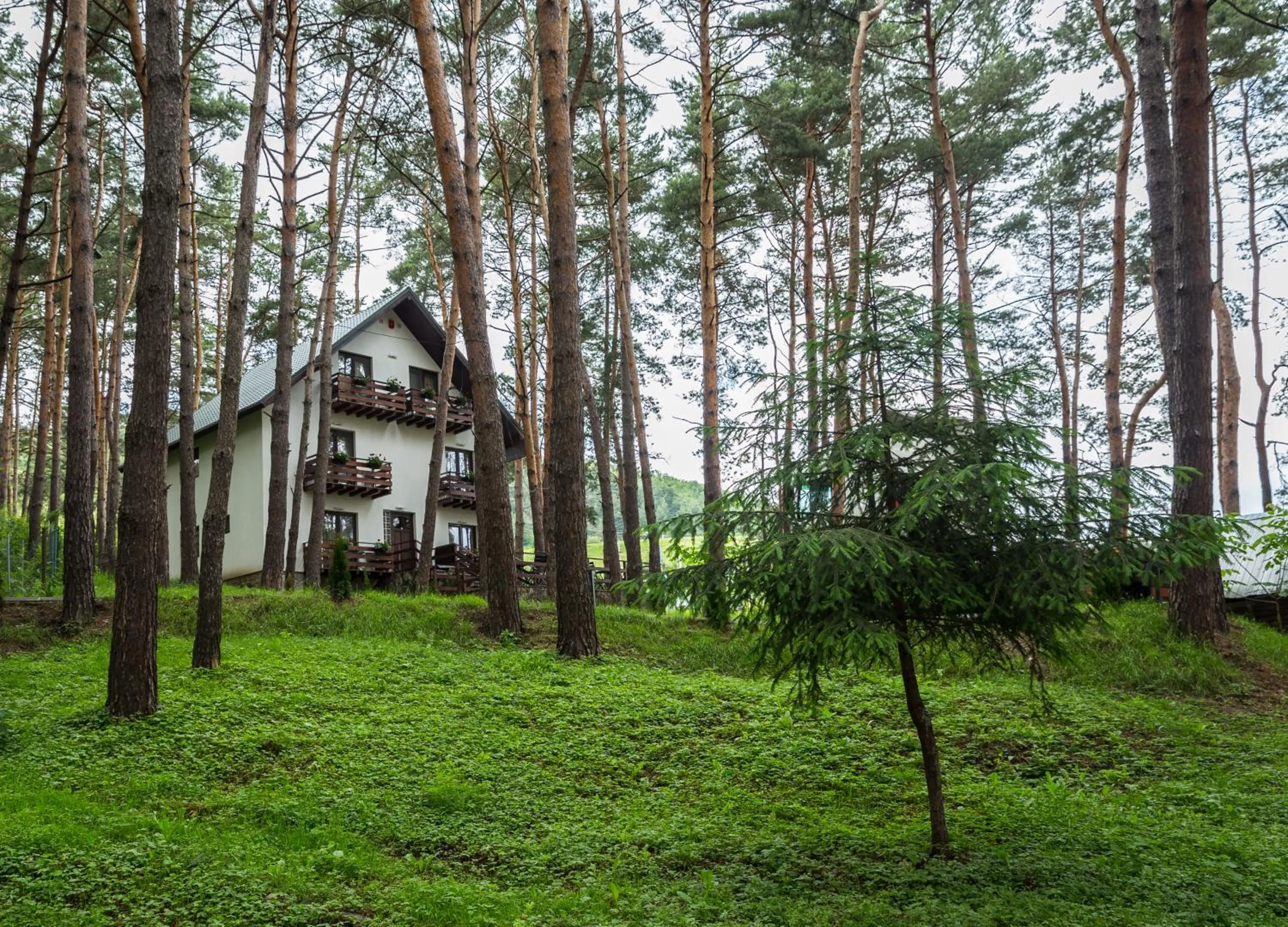 On site in Complex Parc Pini Moinesti