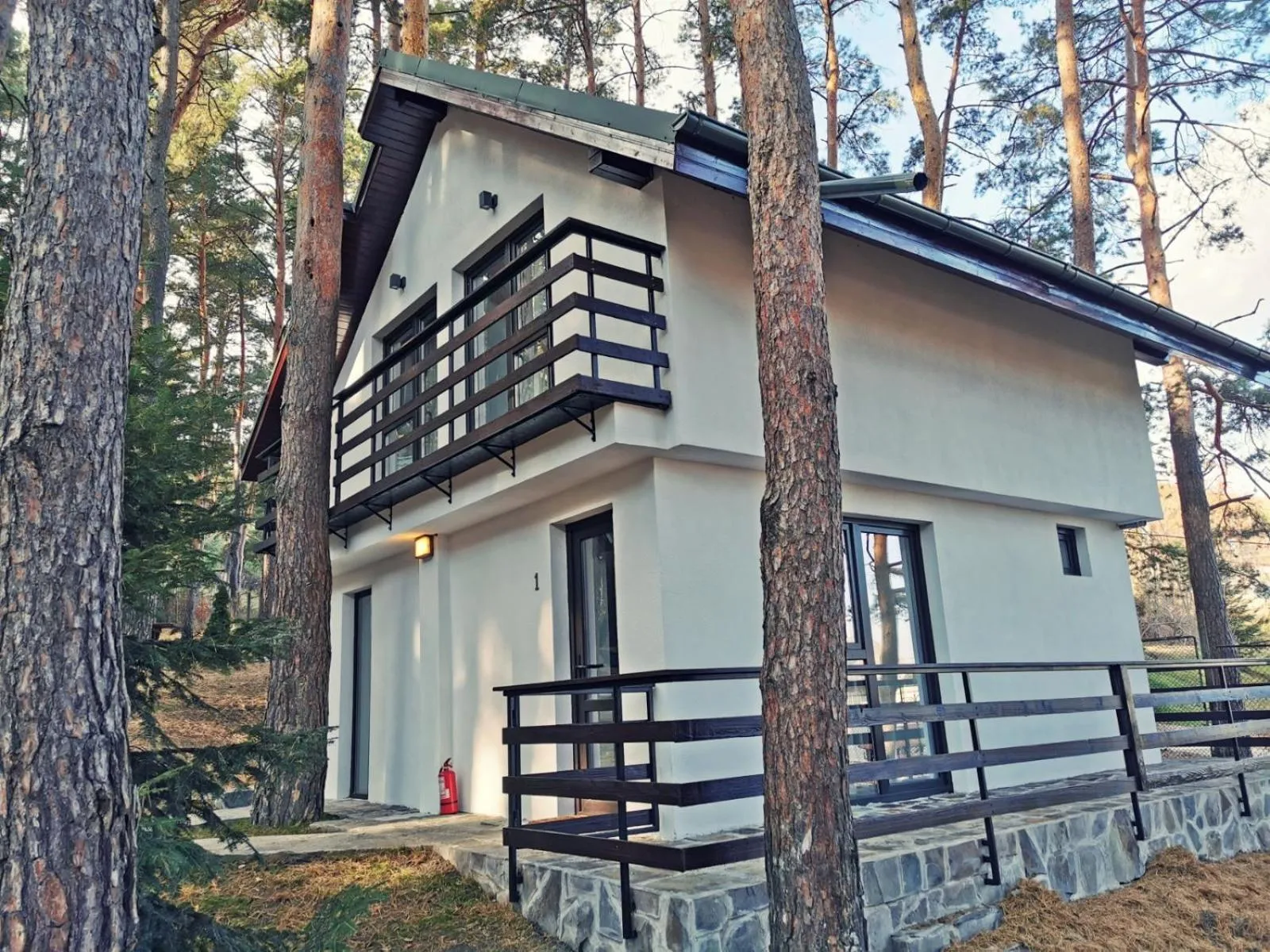 Complex Parc Pini Moinesti