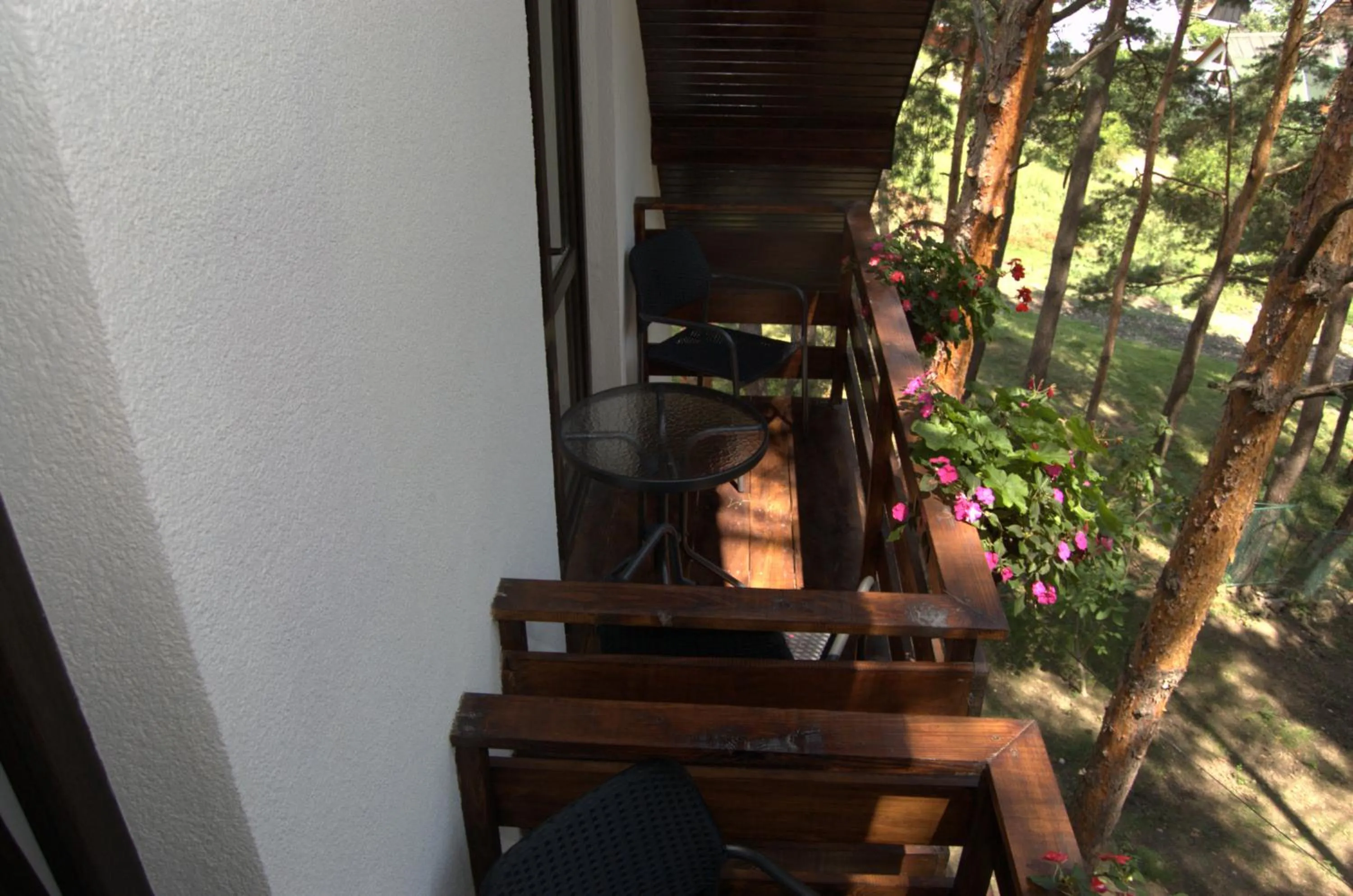 Balcony/Terrace in Complex Parc Pini Moinesti