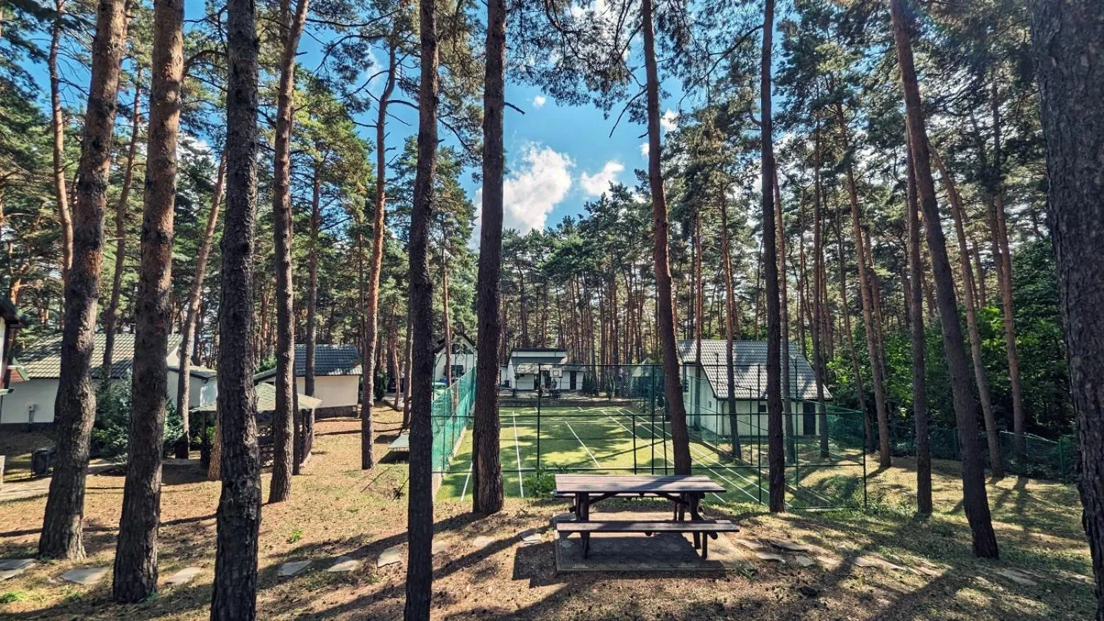 Complex Parc Pini Moinesti