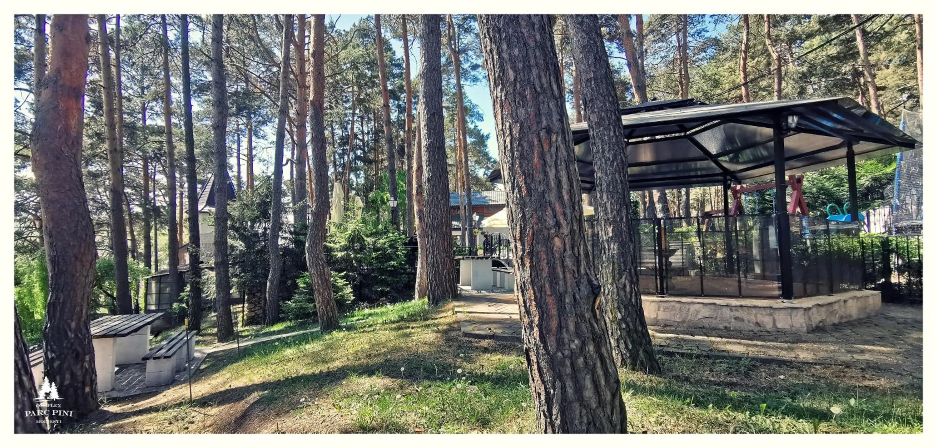 Complex Parc Pini Moinesti