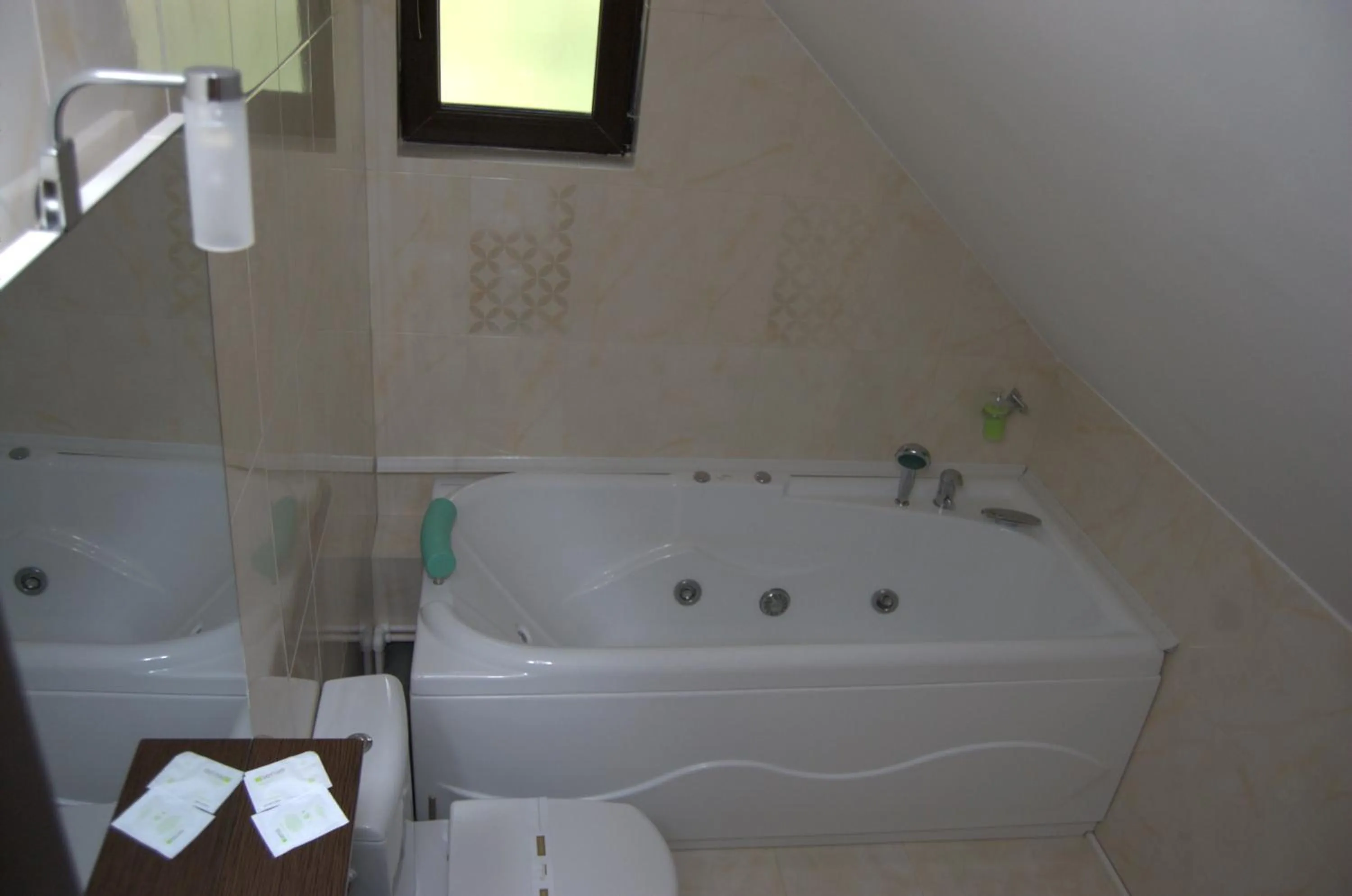 Bathroom in Complex Parc Pini Moinesti