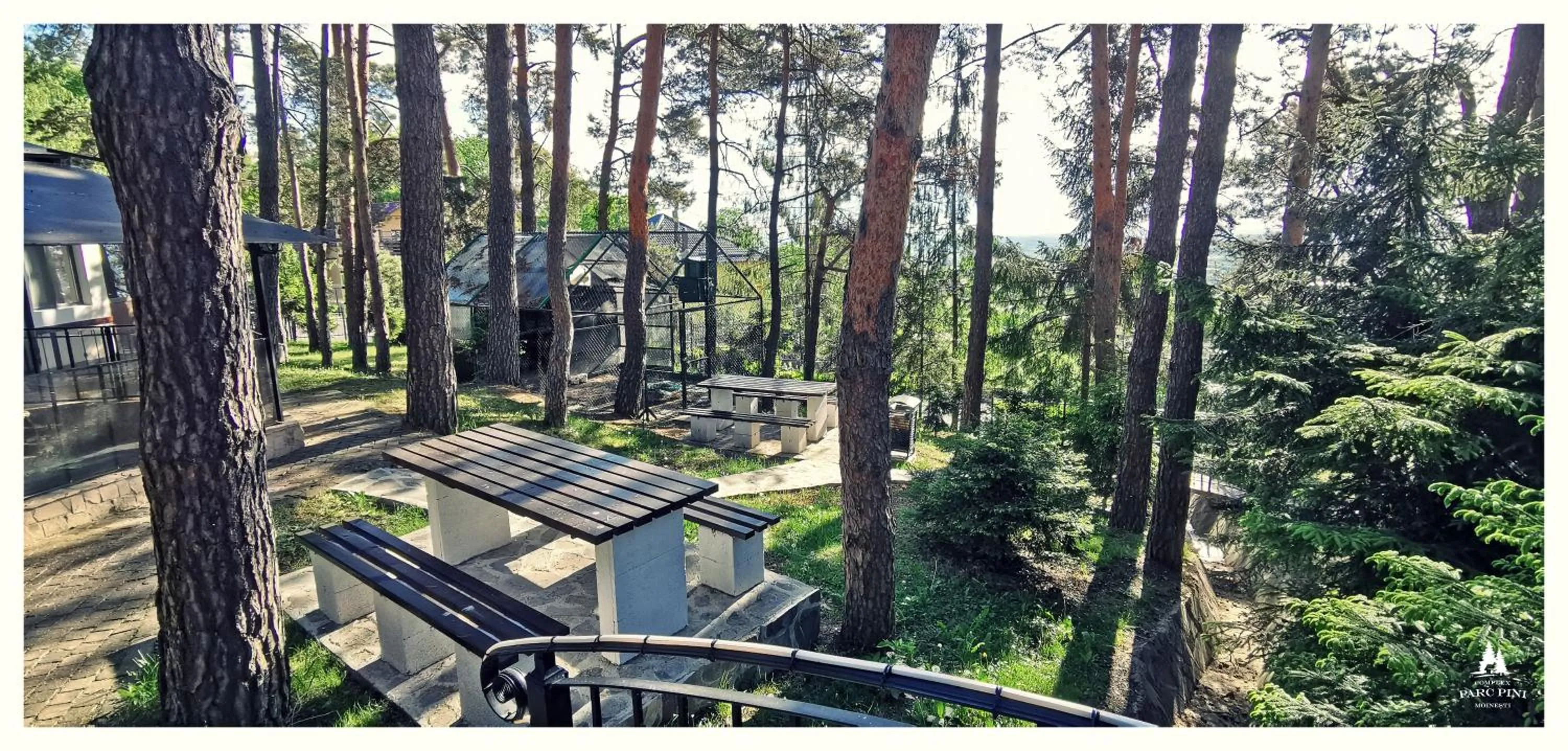 Complex Parc Pini Moinesti