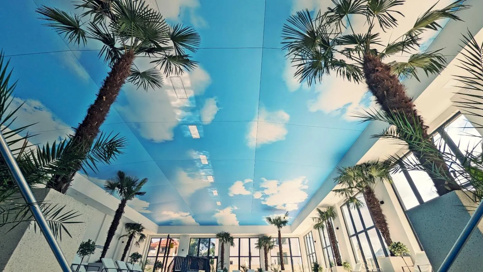 Complex Parc Pini Moinesti