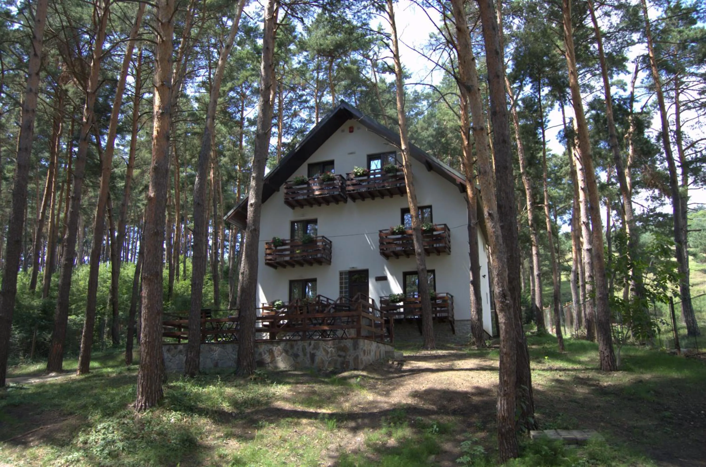 Property building in Complex Parc Pini Moinesti