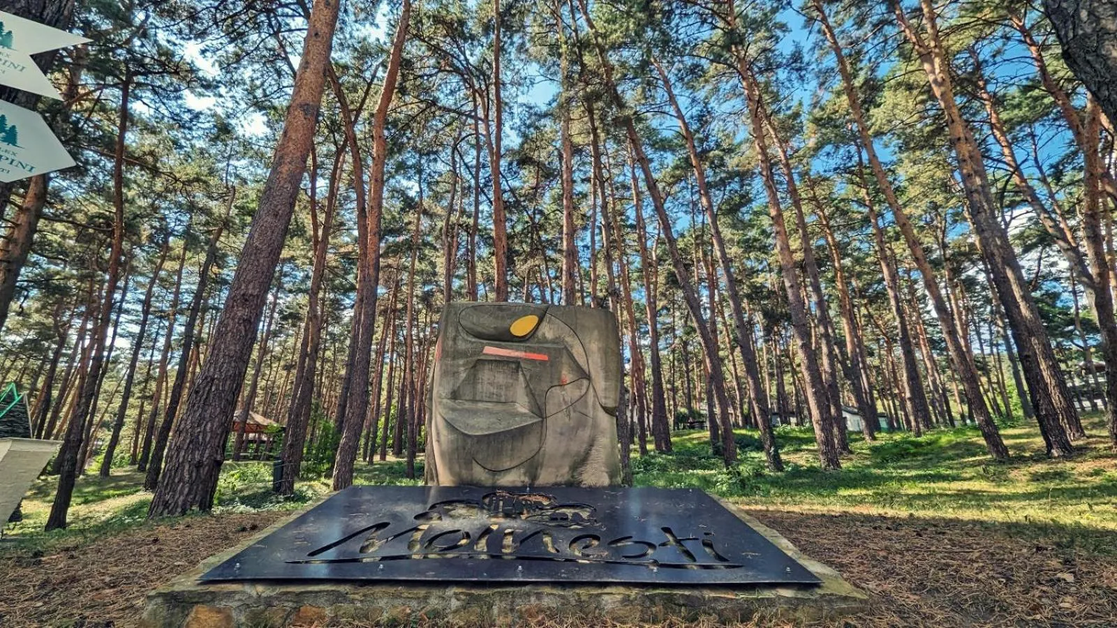 Complex Parc Pini Moinesti