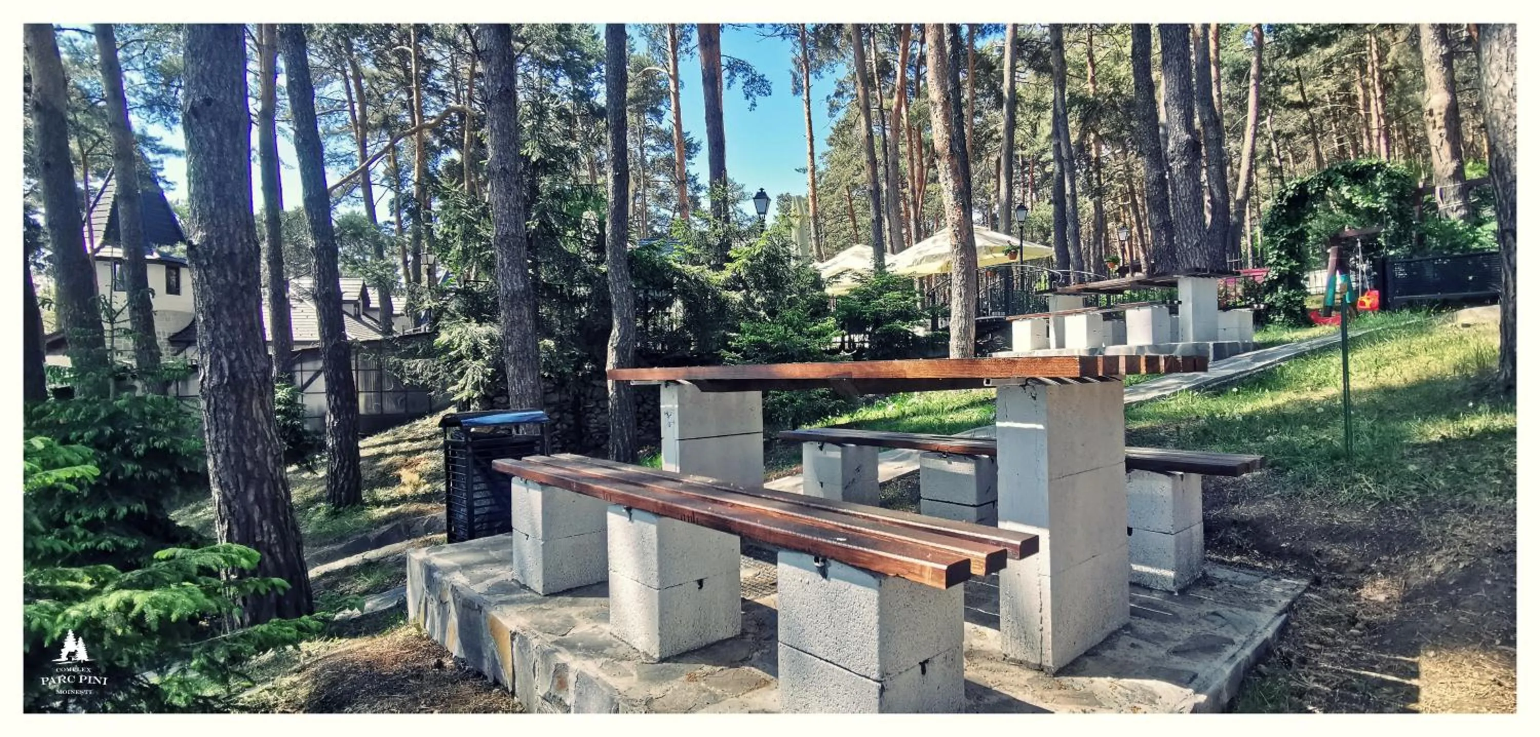 Complex Parc Pini Moinesti