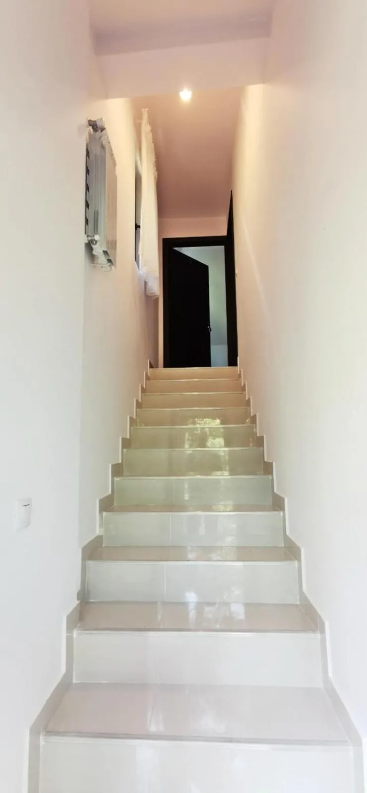 Complex Parc Pini Moinesti