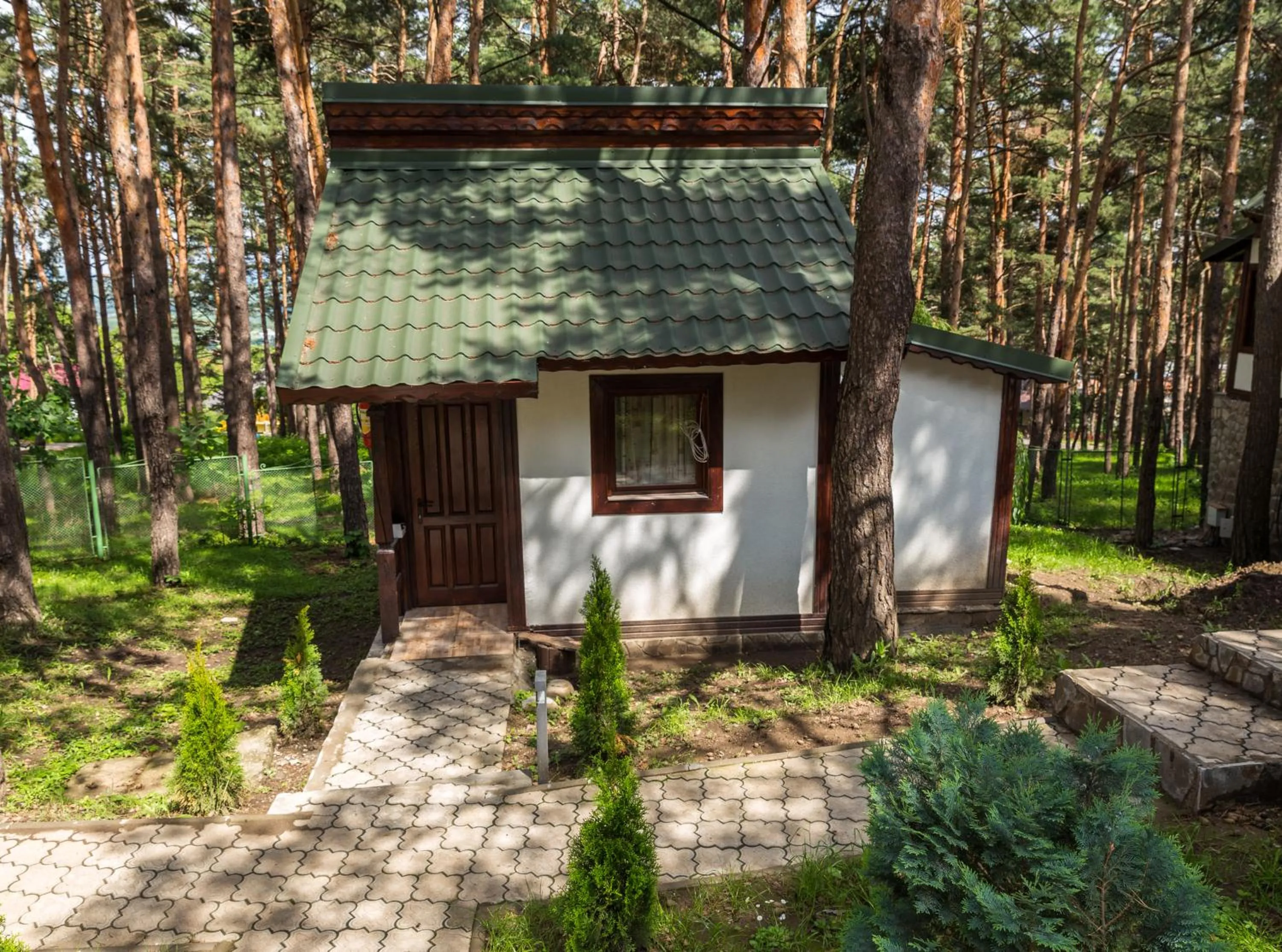 On site in Complex Parc Pini Moinesti