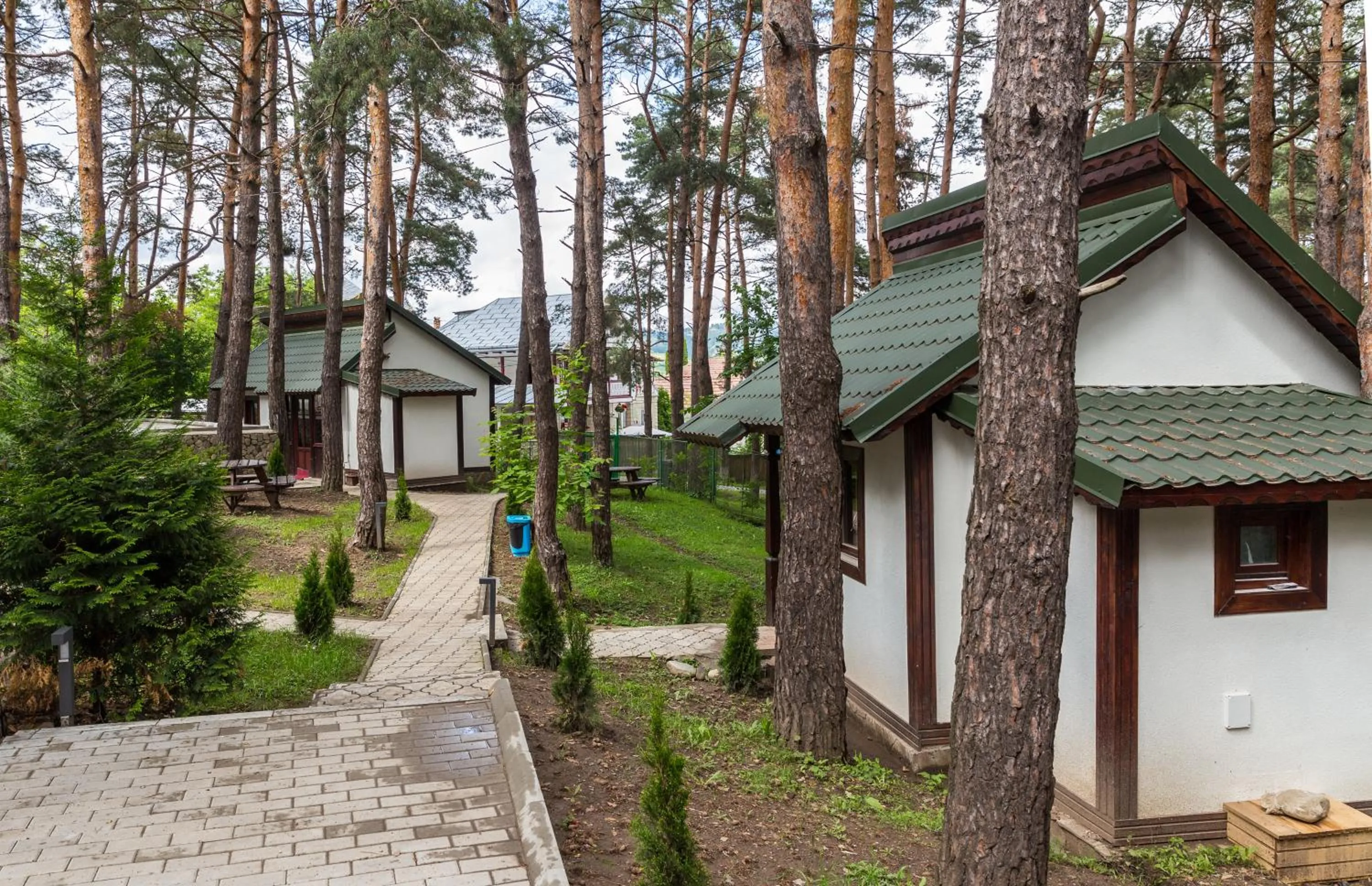 Garden in Complex Parc Pini Moinesti