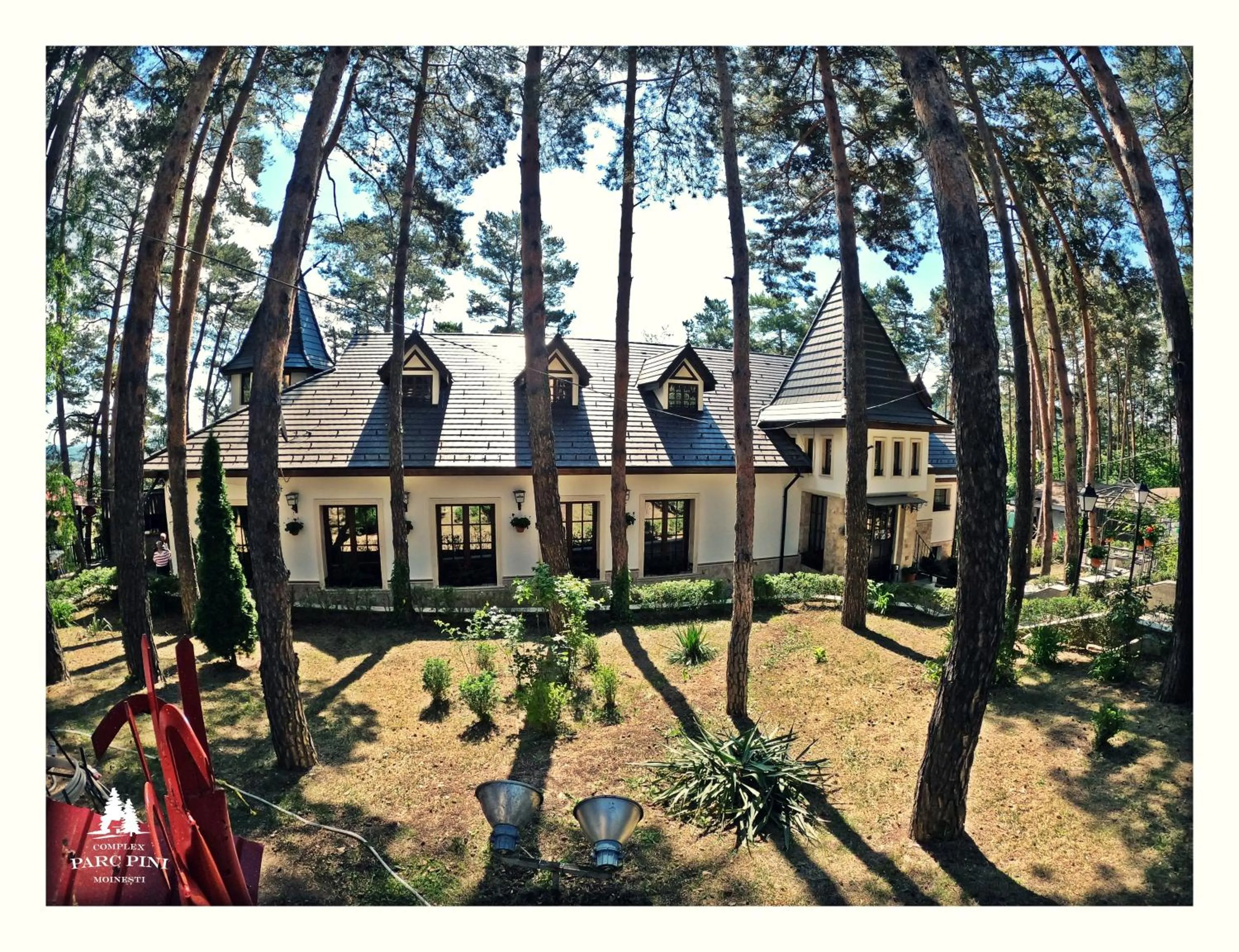 Complex Parc Pini Moinesti