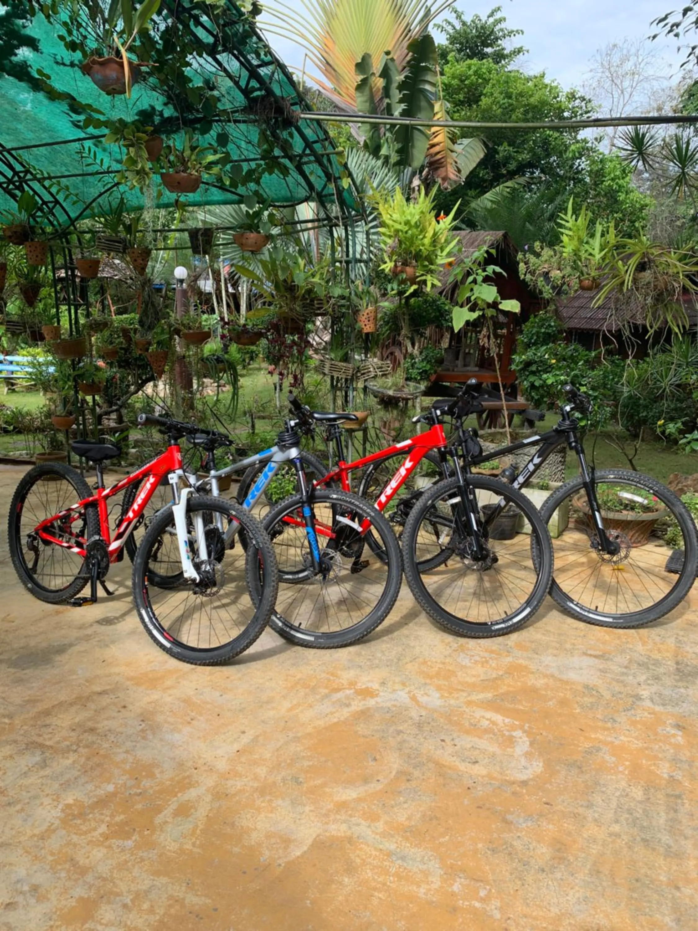 Cycling in Riverside