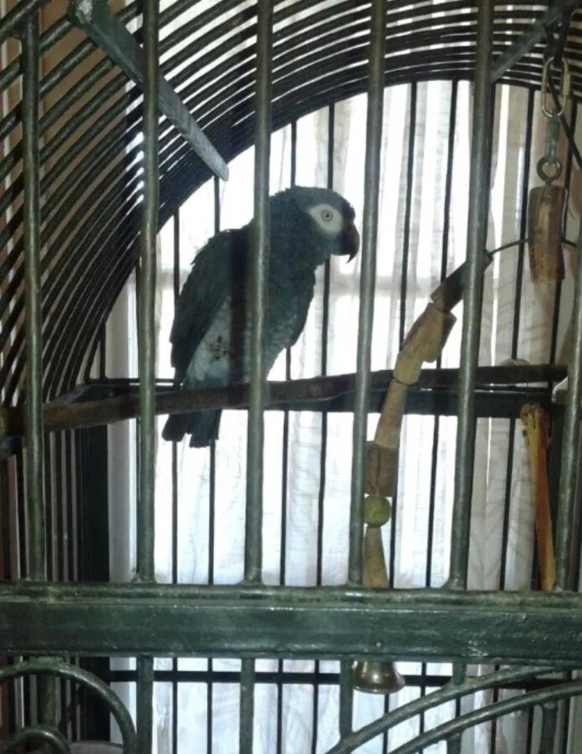 Facade/entrance in Seminole Inn