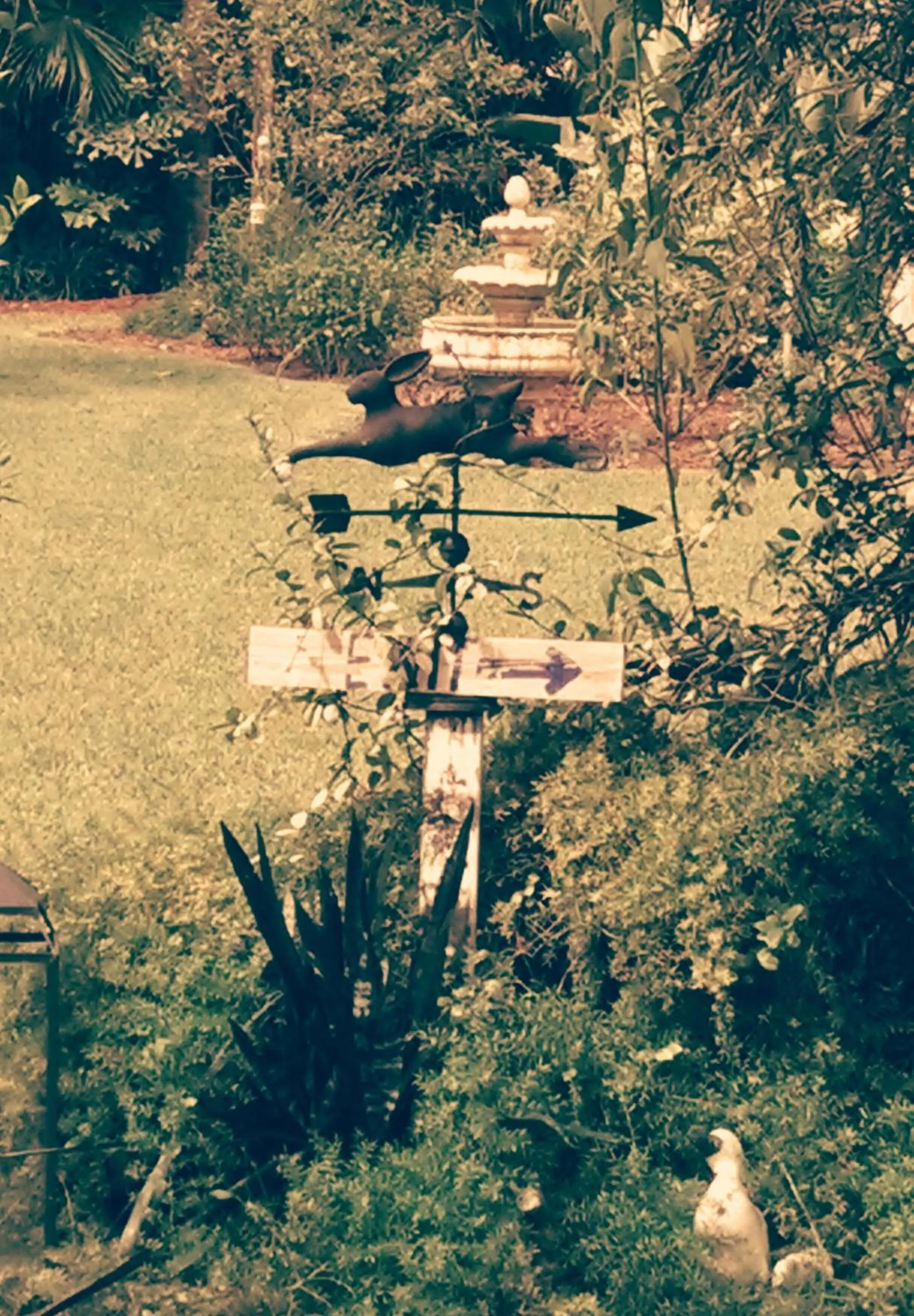 Garden in Seminole Inn