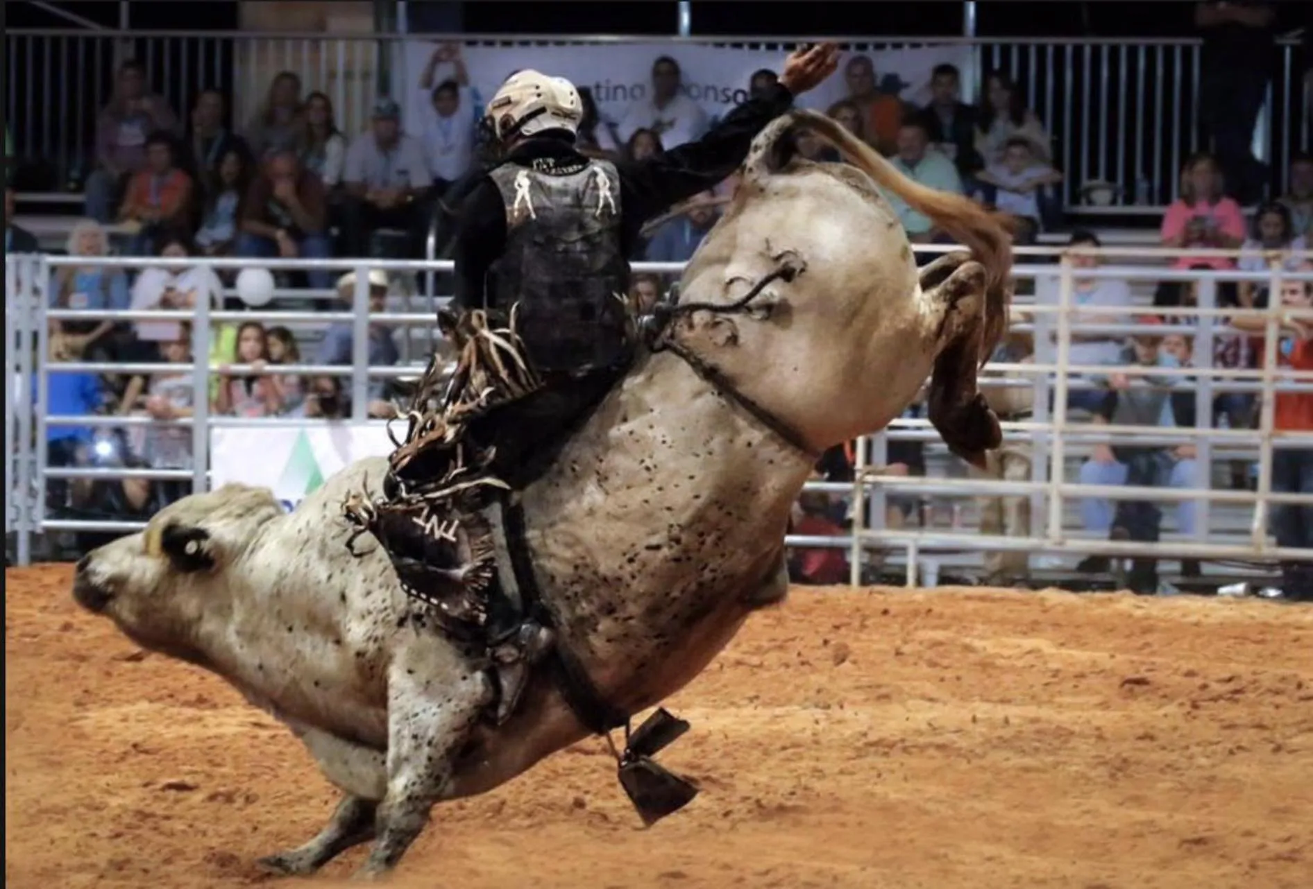 Entertainment in Seminole Inn