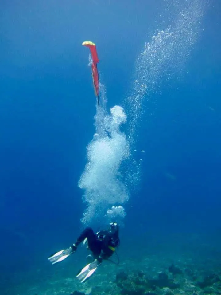 Chindonan Dive and Beach Resort