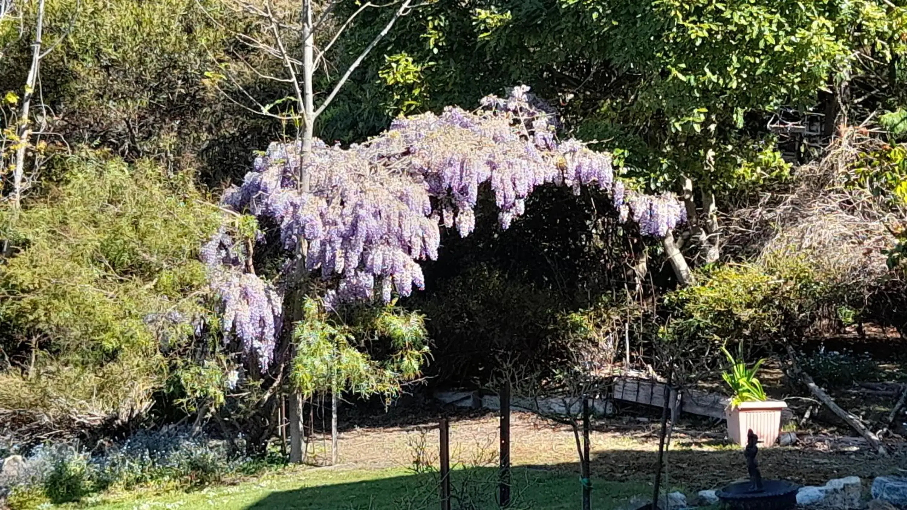 Standard Queen Room in Waterview Gardens B&B Standard Queen Room in Waterview Gardens B&B