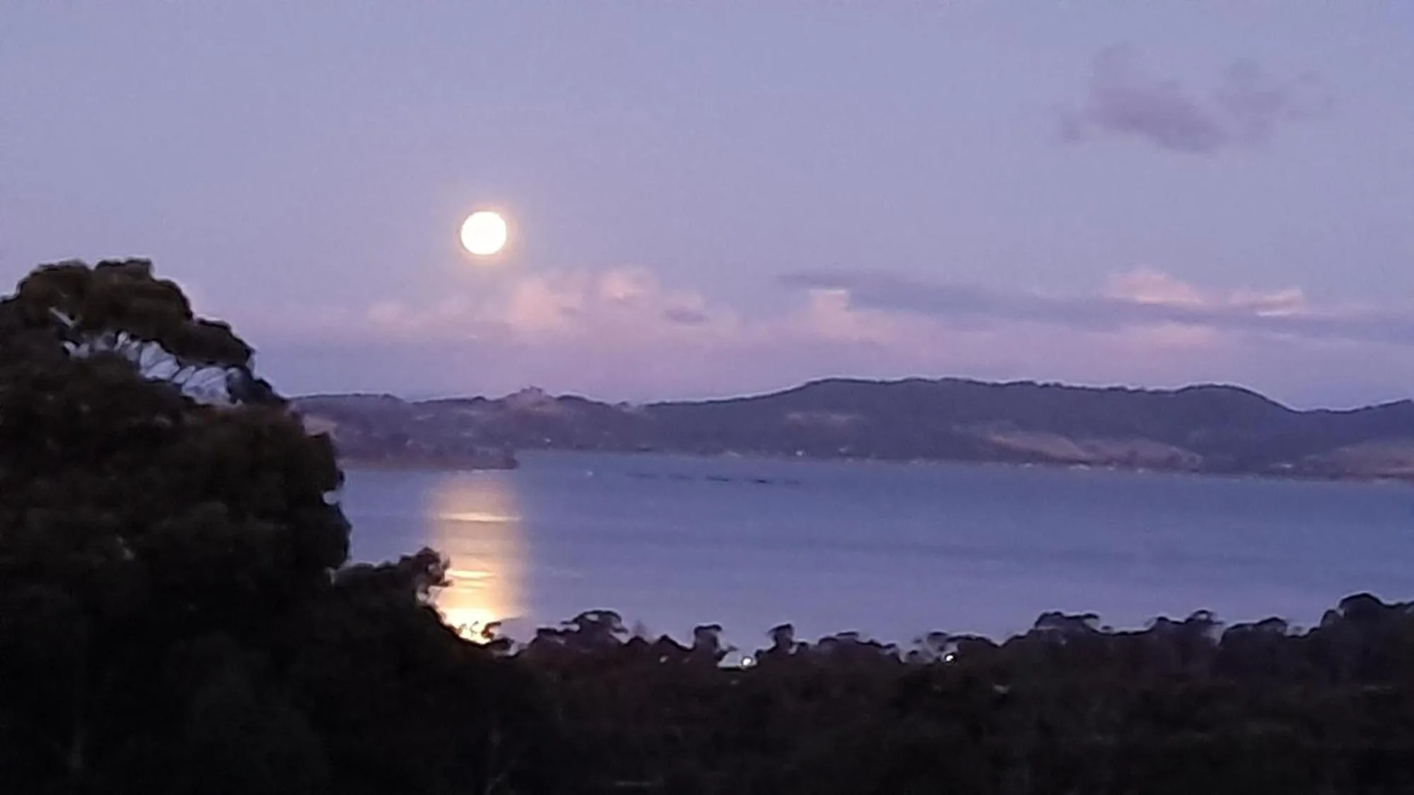 Landmark view in Waterview Gardens B&B