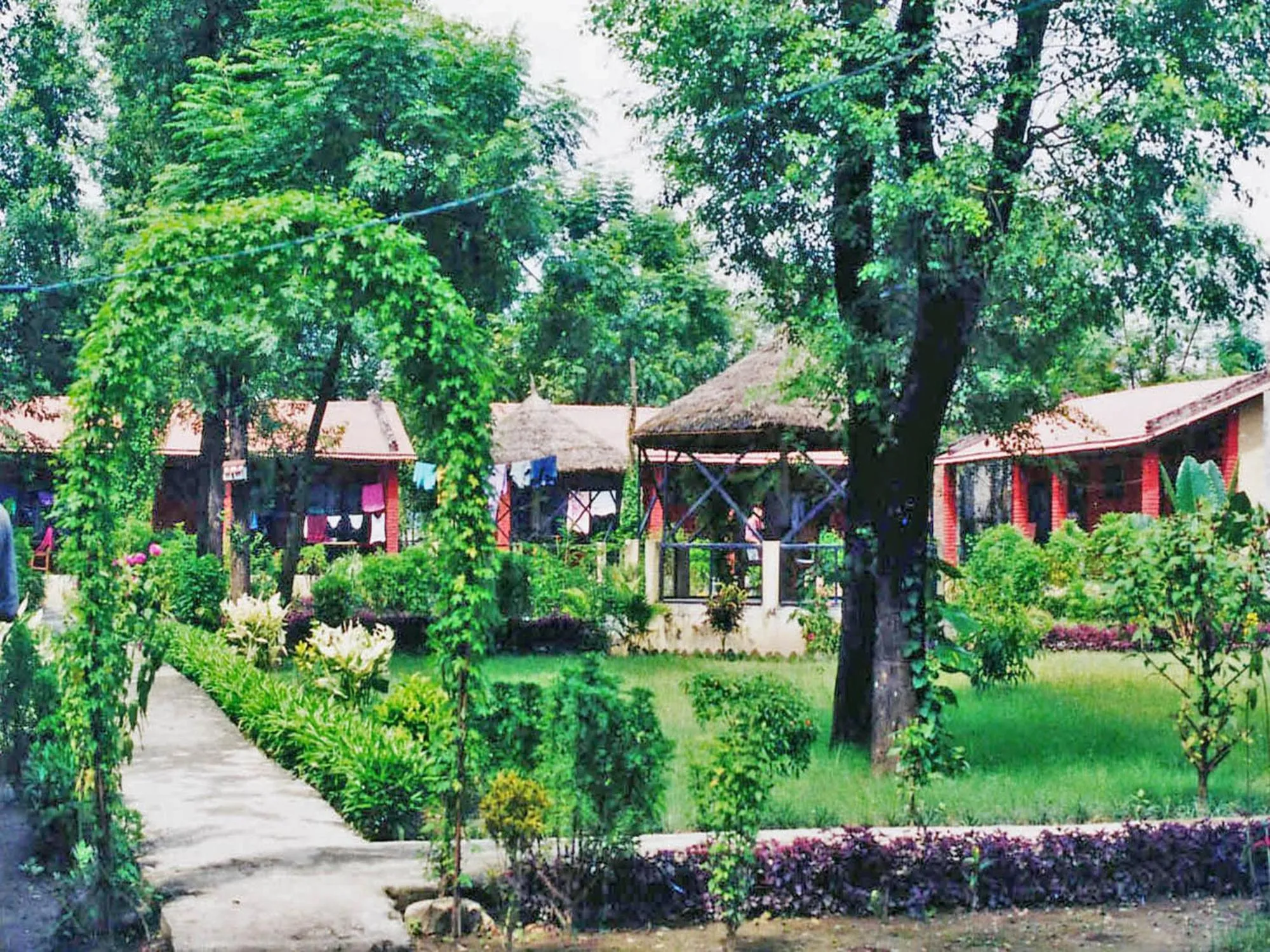 Garden in Rainbow Safari Resort