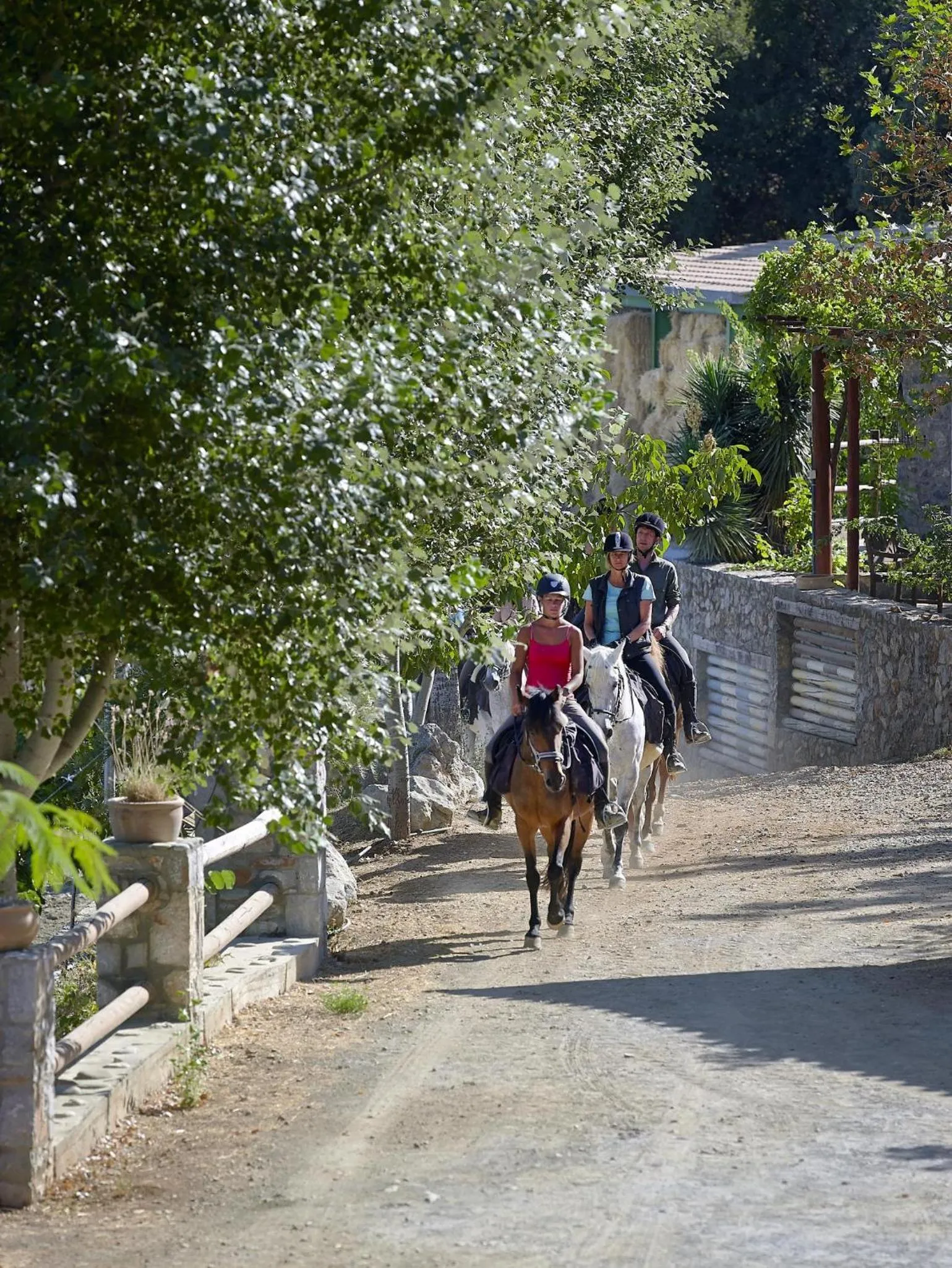 Day in Country Hotel Velani