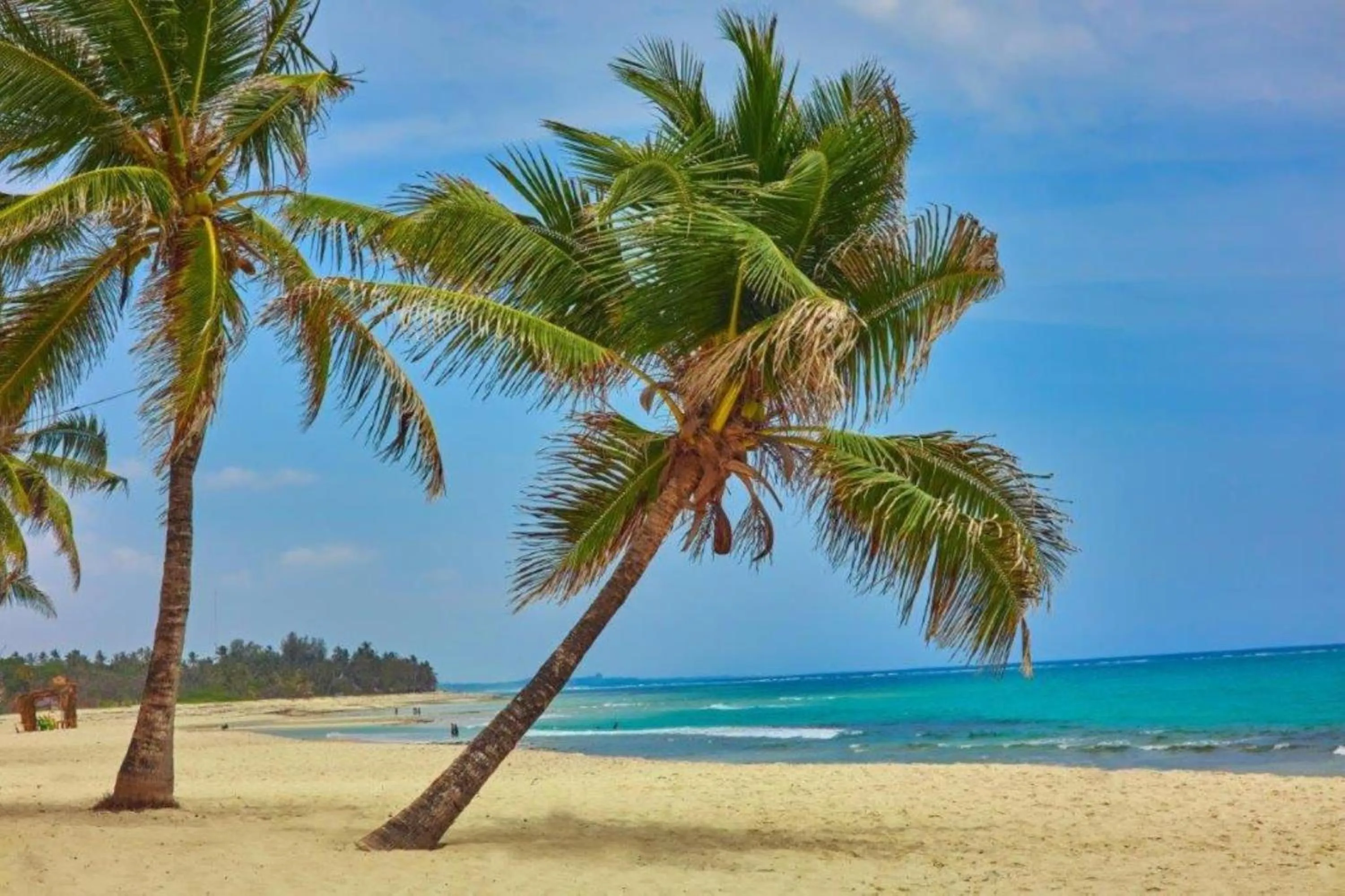Beach in Jacaranda Indian Ocean Beach Resort