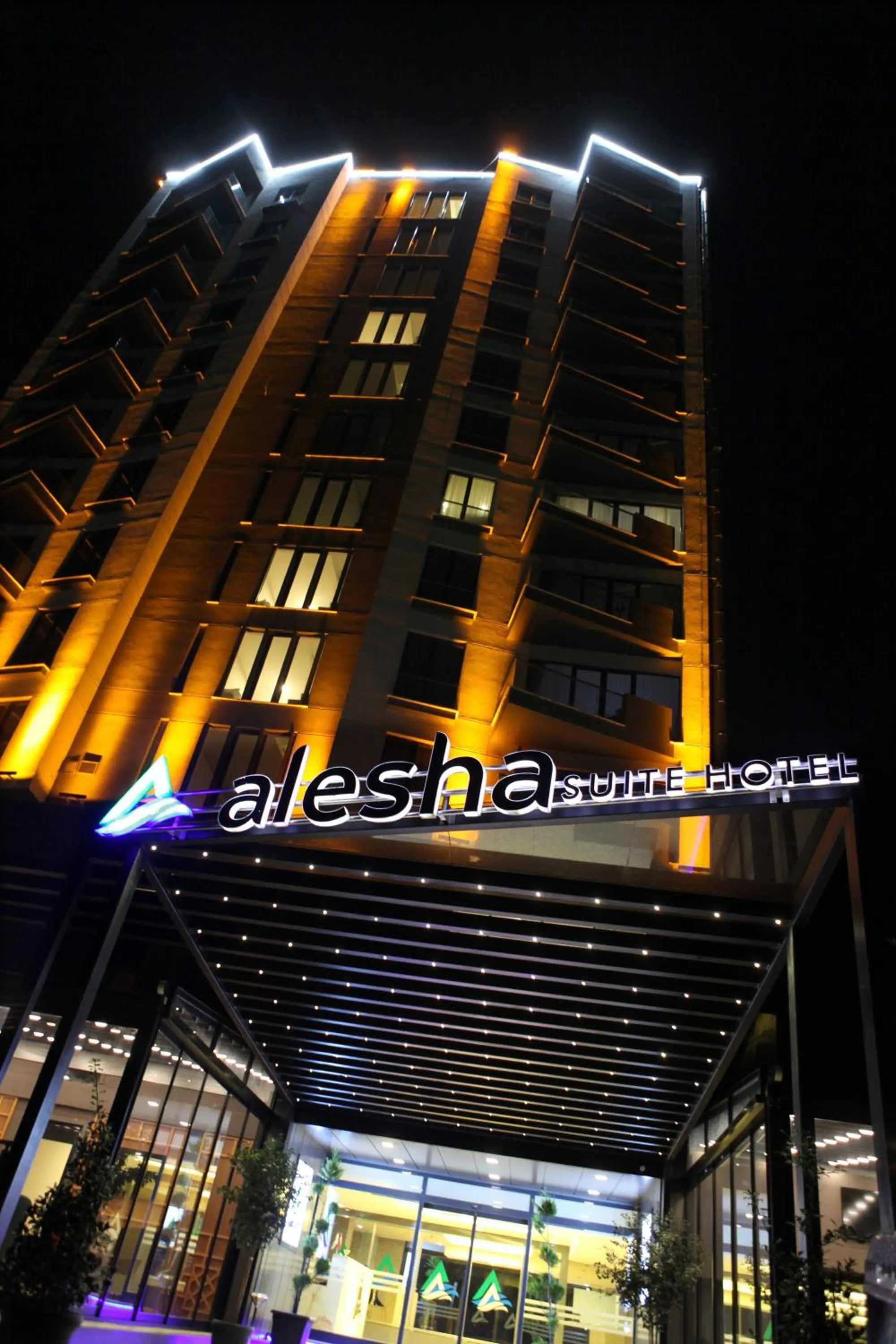 Other in Alesha Suite Otel