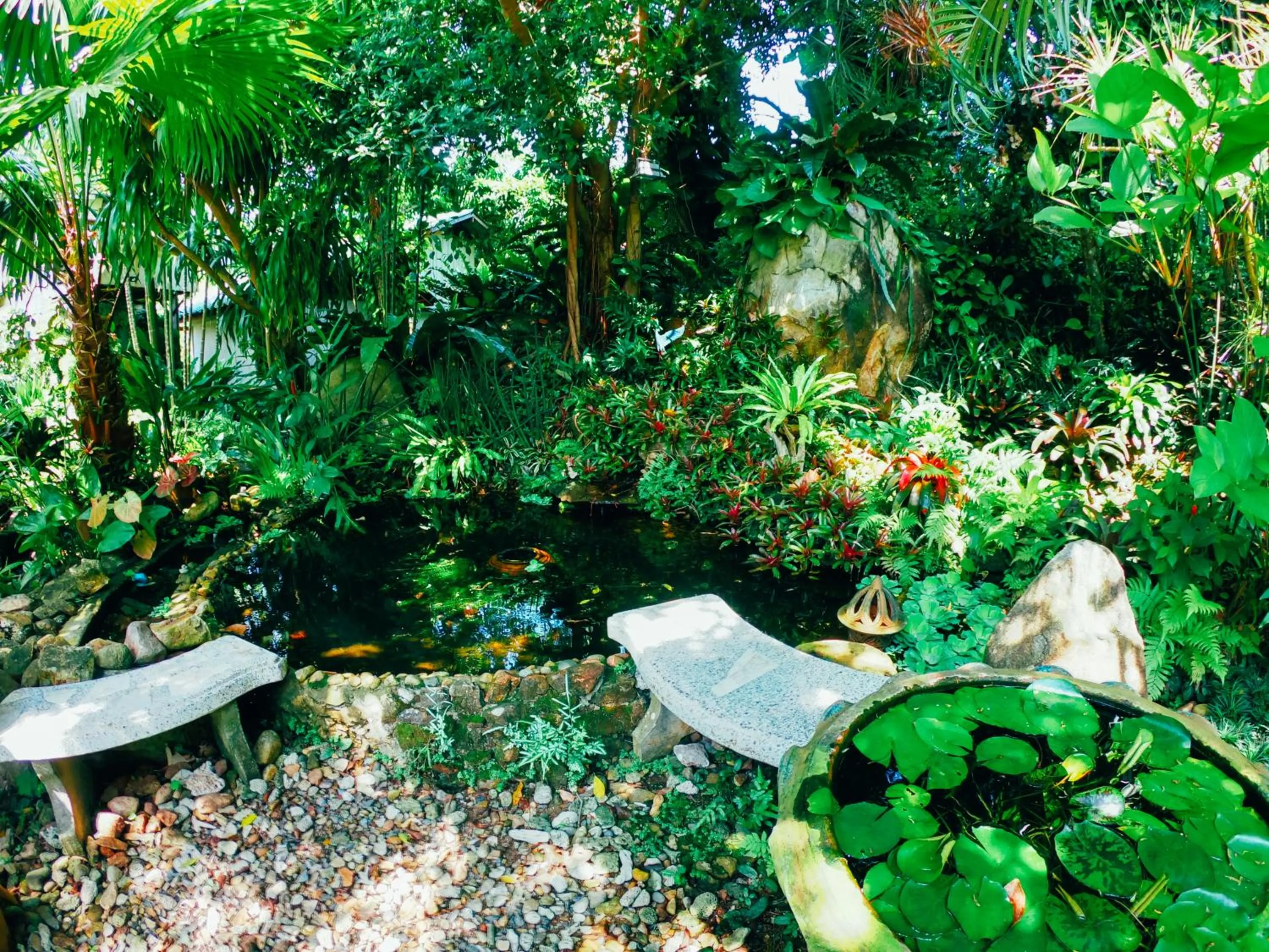 Garden in Rock Inn Bailan