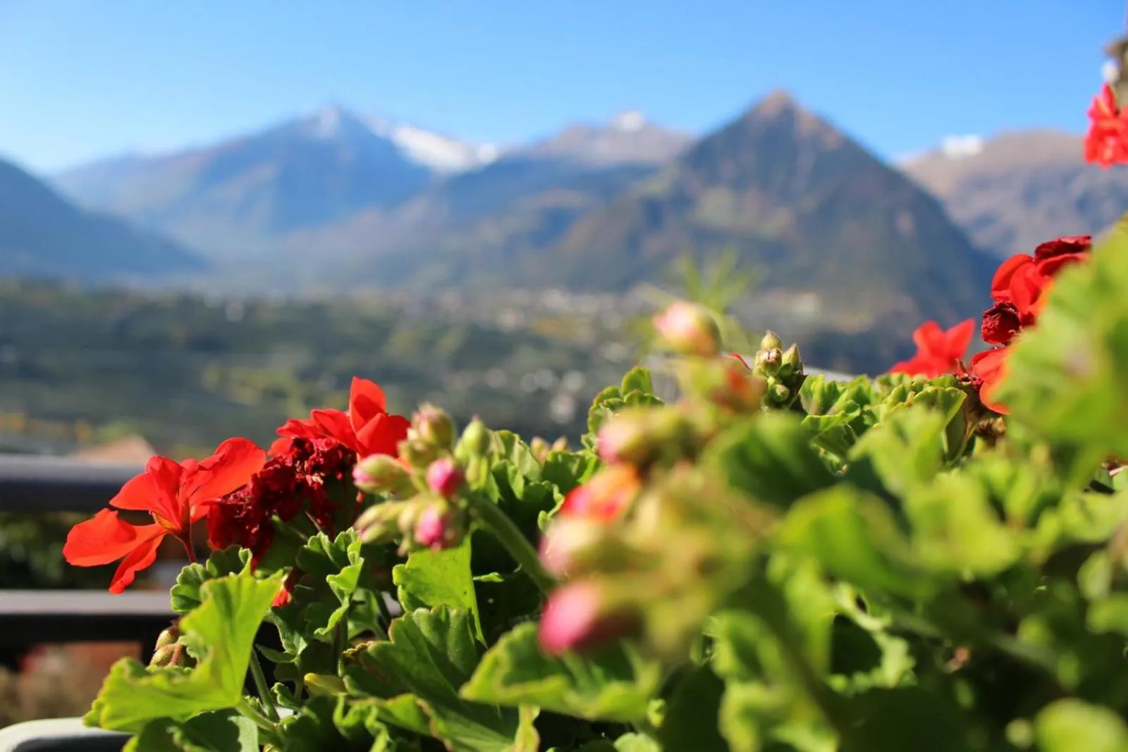 Nearby landmark in Schenna Garni Eden Bed & Breakfast