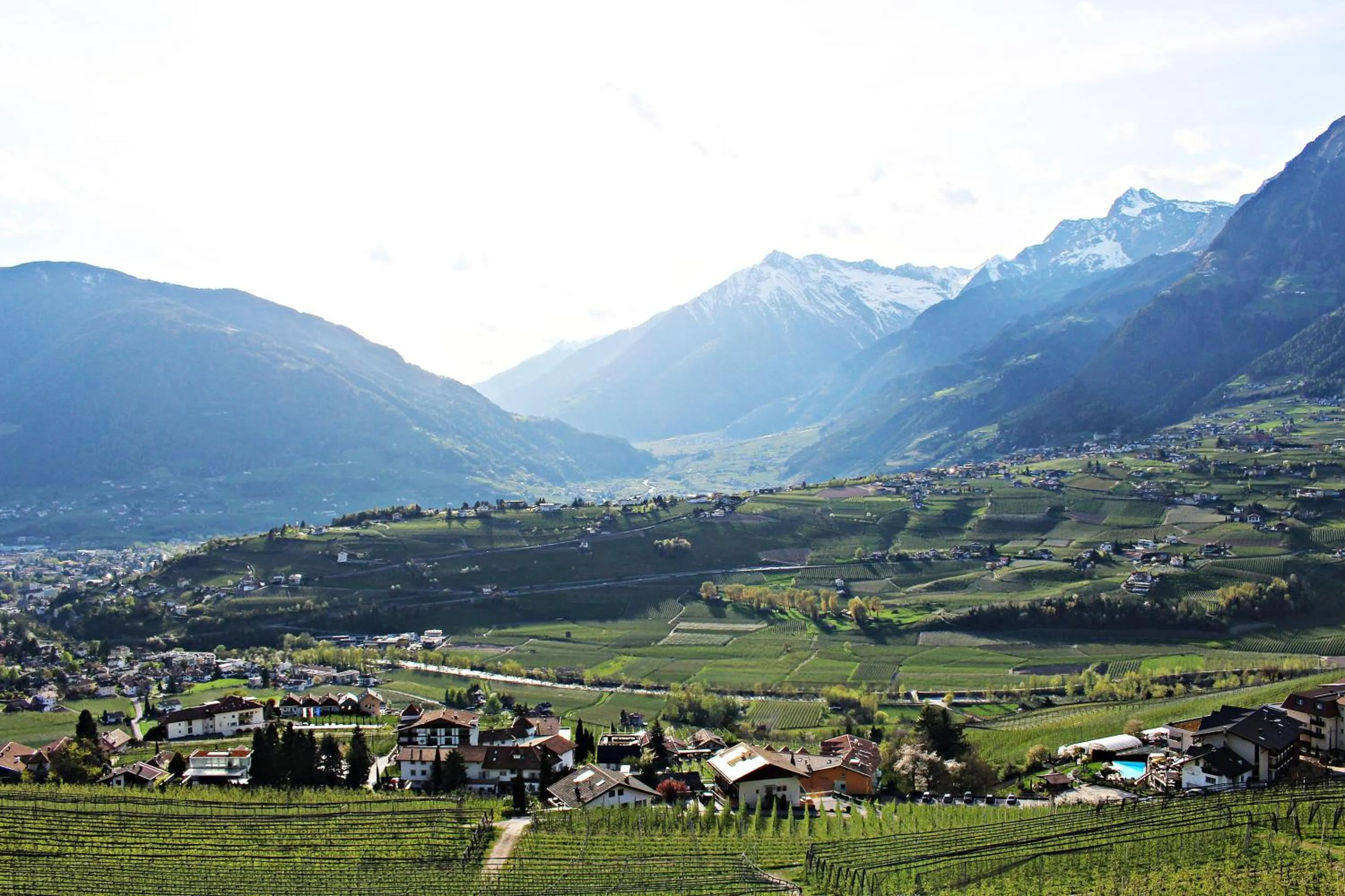 Nearby landmark in Schenna Garni Eden Bed & Breakfast