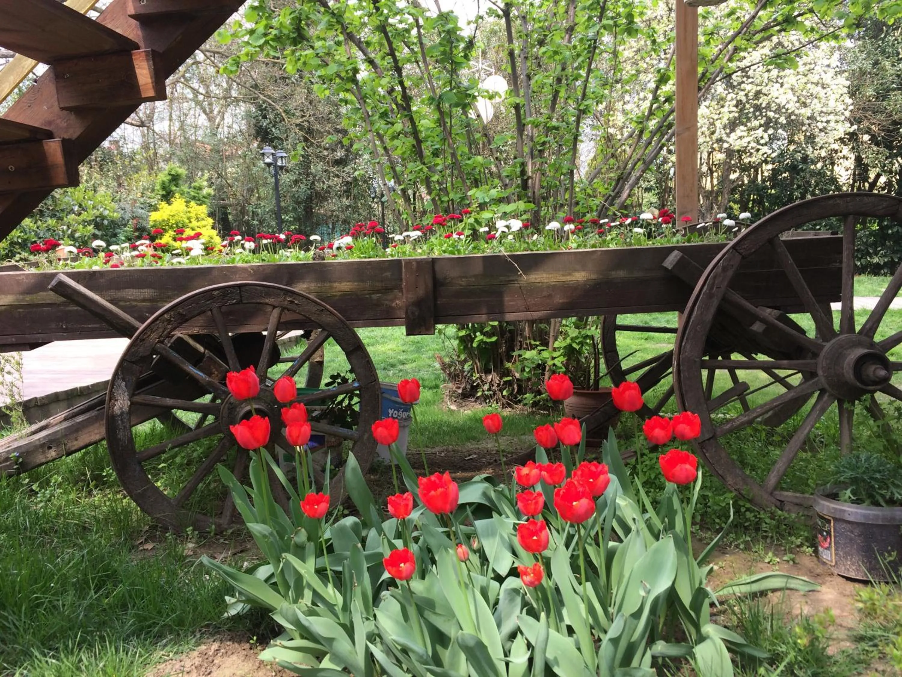 Spring in My Green Boutique Hotel