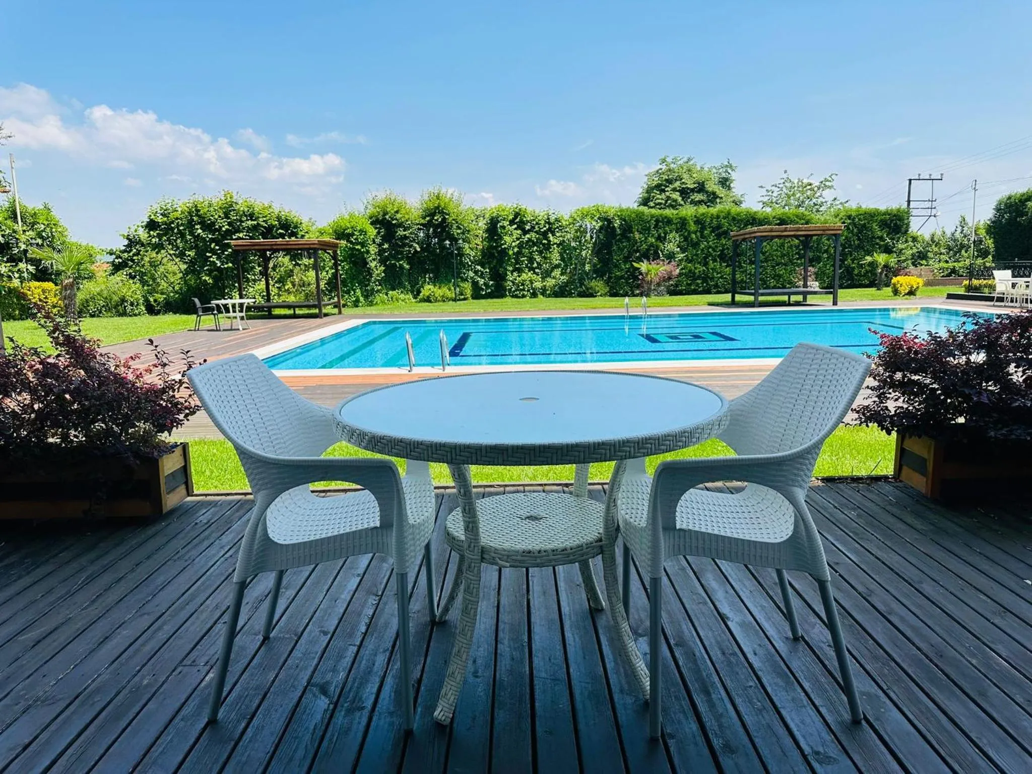 Day in My Green Boutique Hotel