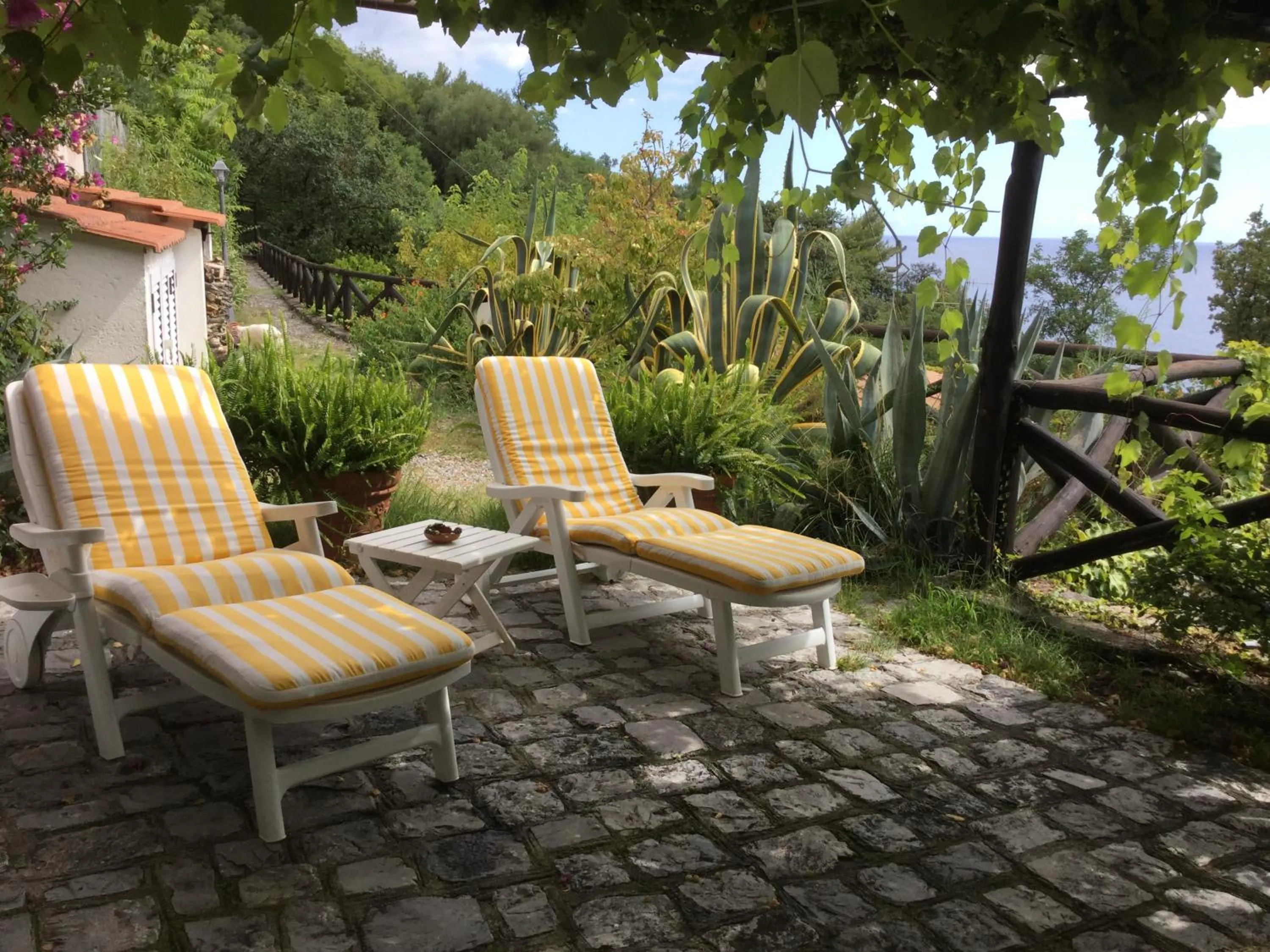 Garden in B&B Le Tre Casette