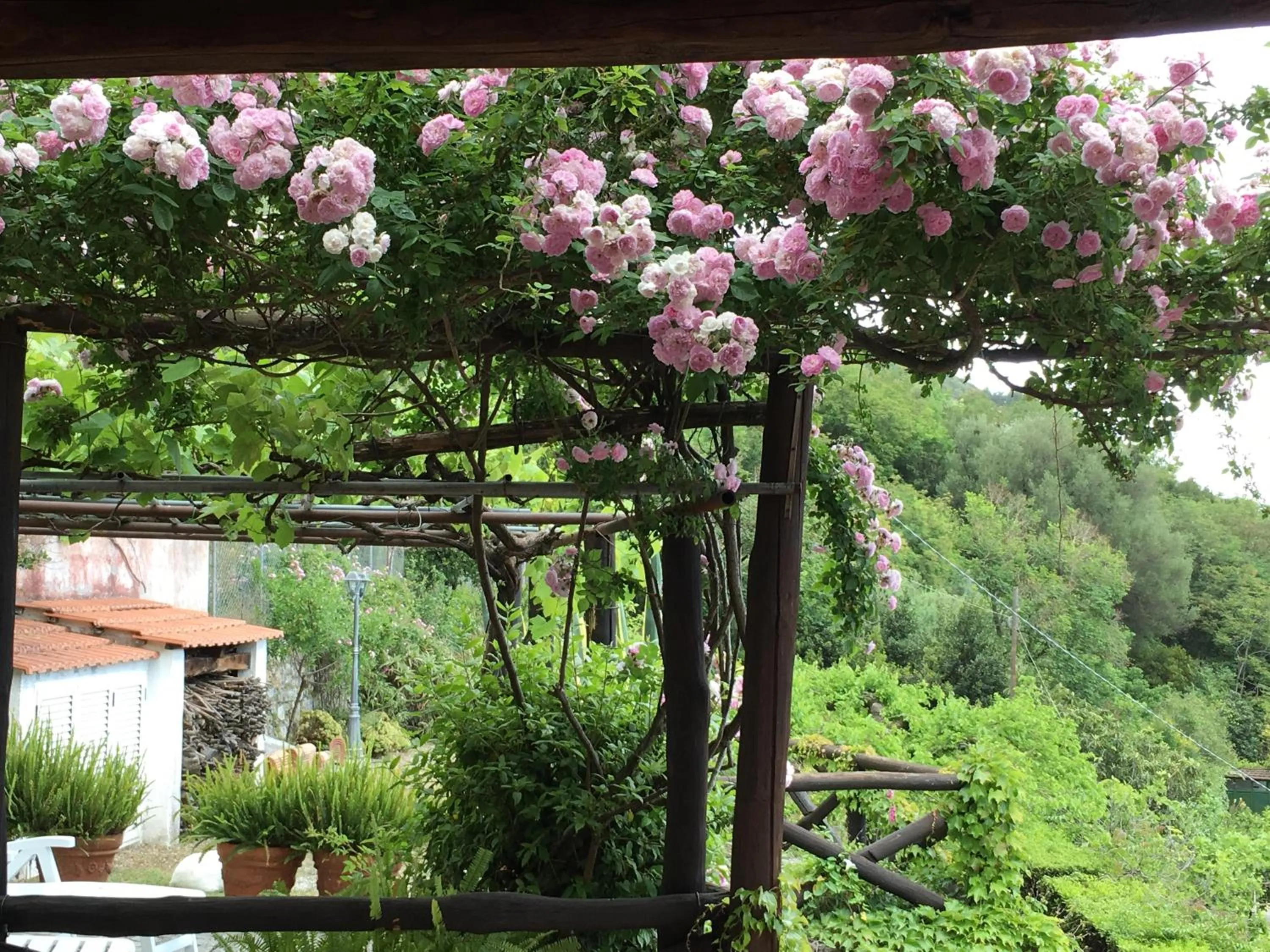Garden view in B&B Le Tre Casette
