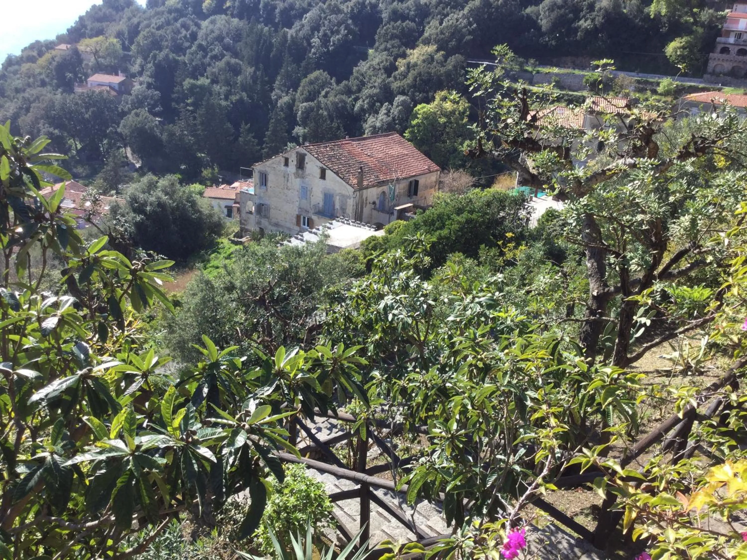 Day in B&B Le Tre Casette