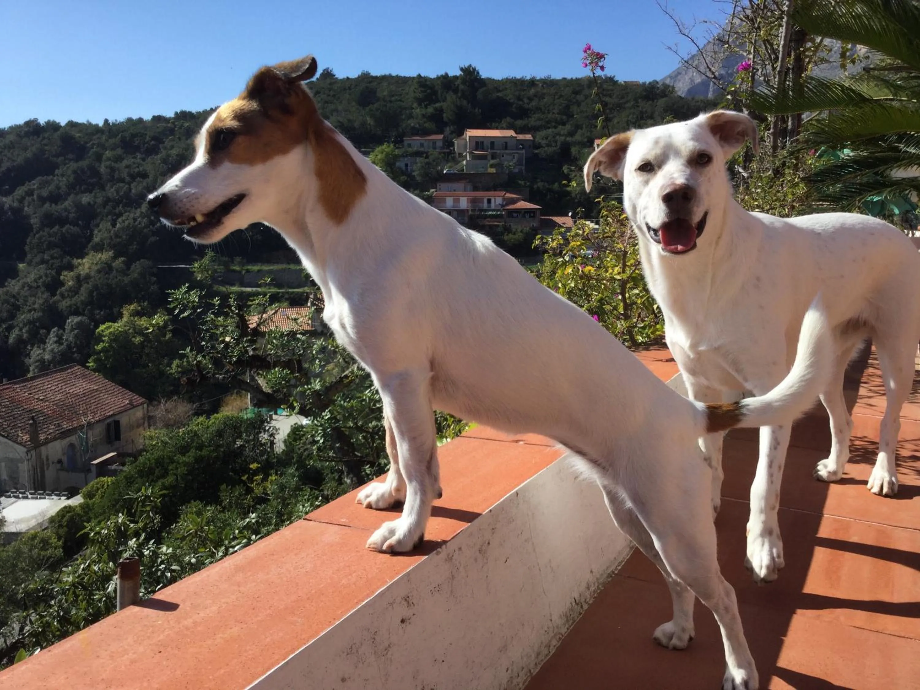 Day in B&B Le Tre Casette