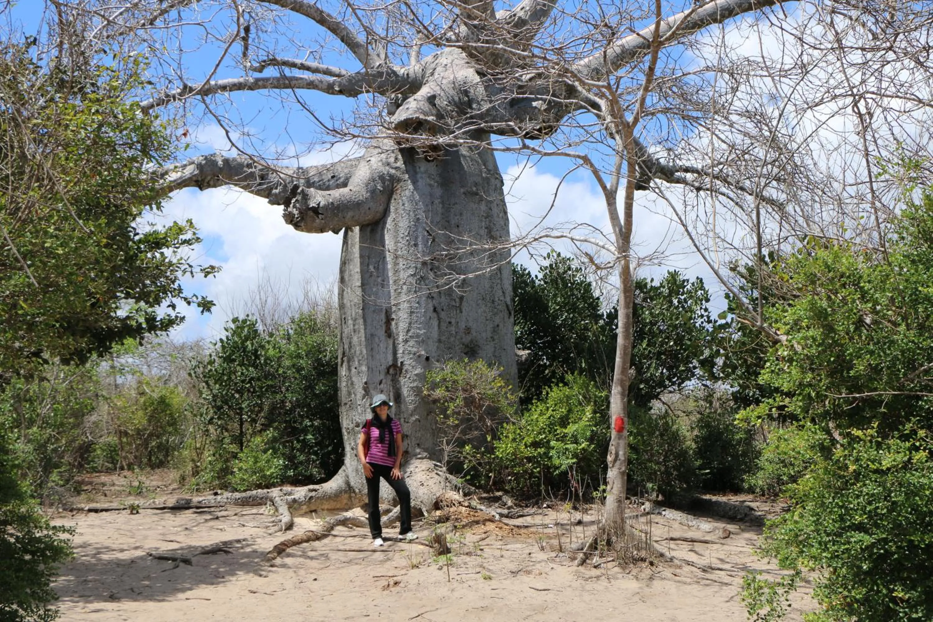 Activities in Mantasaly Resort