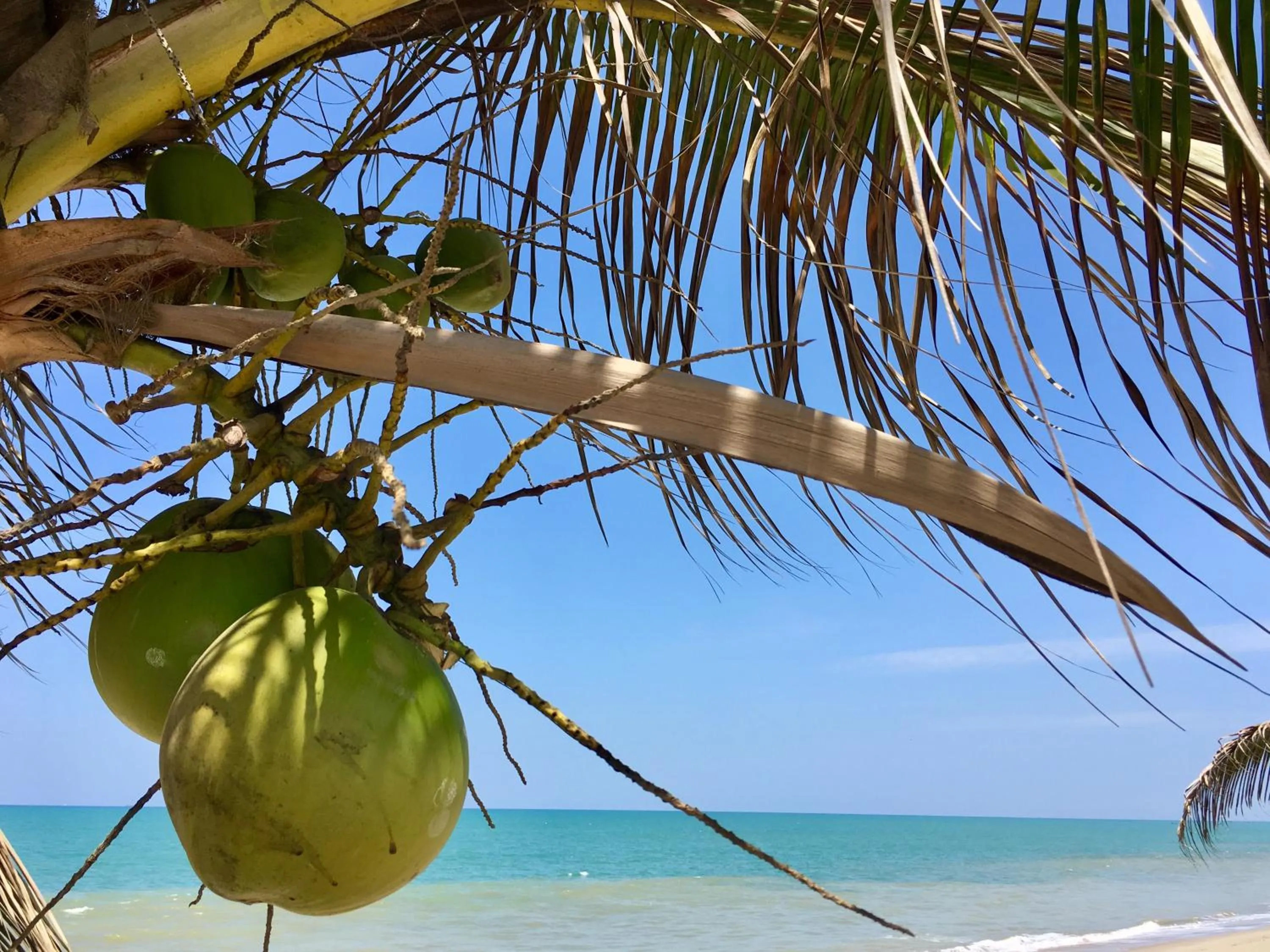 Sea view in Hotel Casa Playa Zorritos