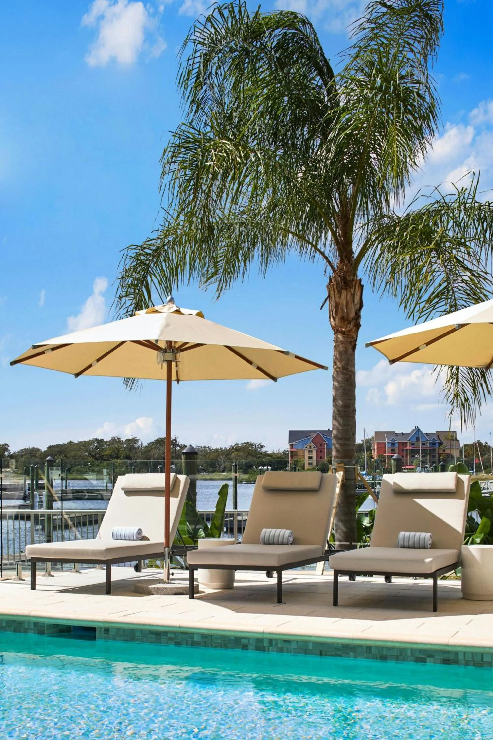 Swimming pool in AC Hotel St Augustine Downtown