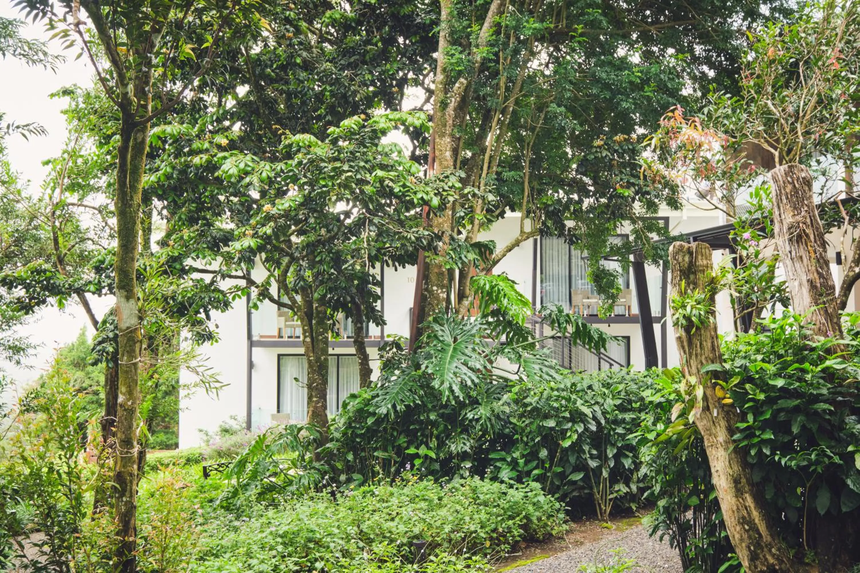 Property building in Ocotea Boutique Hotel