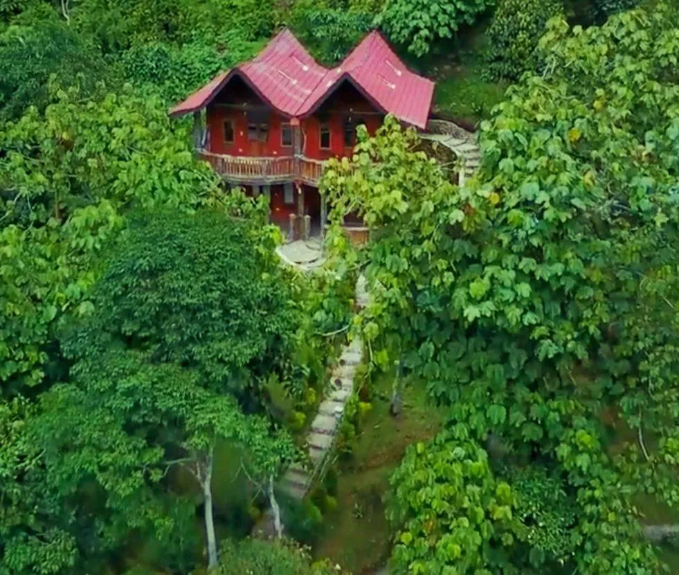 Bird's eye view in Hotel Orangutan