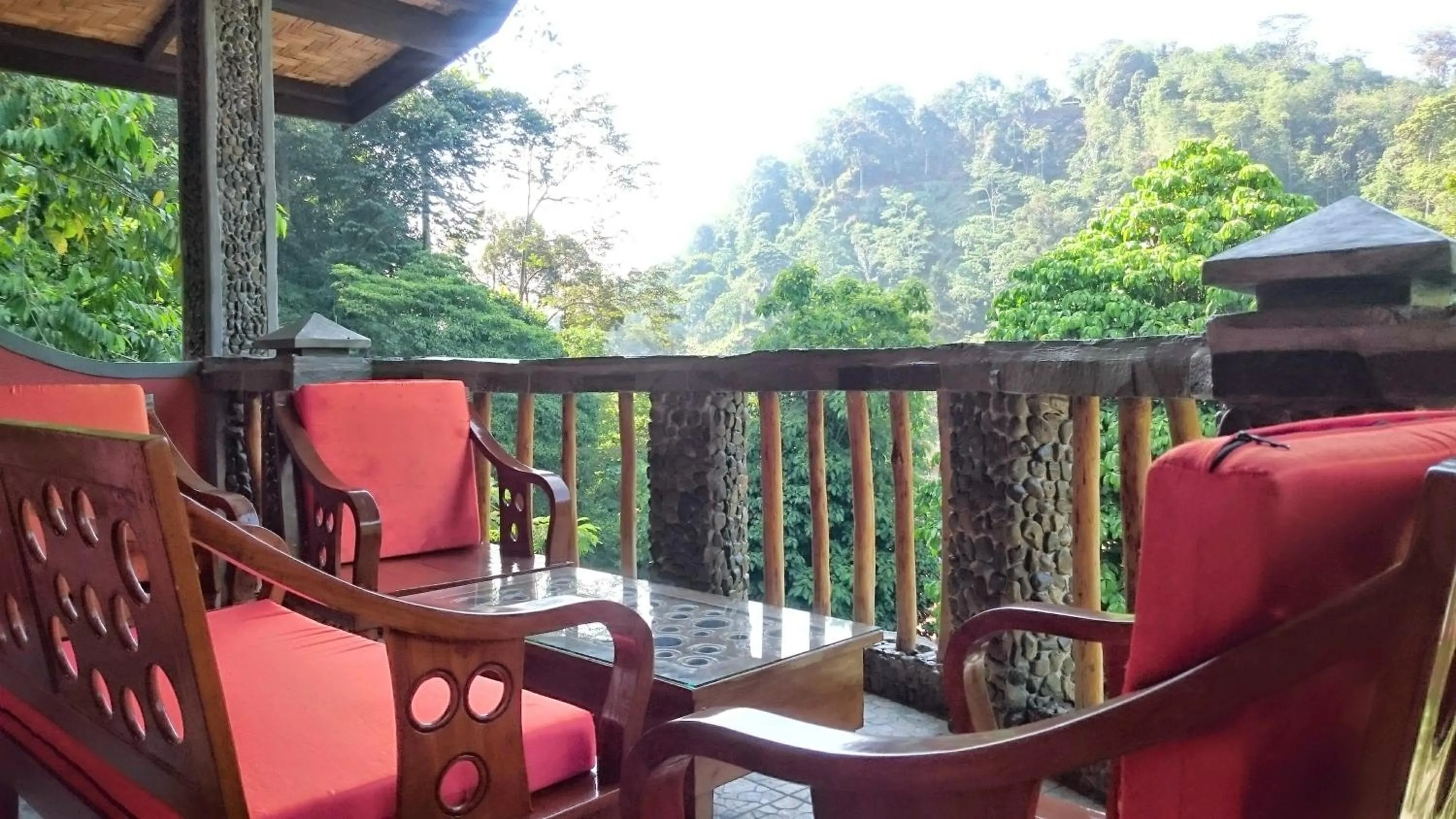 Balcony/Terrace in Hotel Orangutan