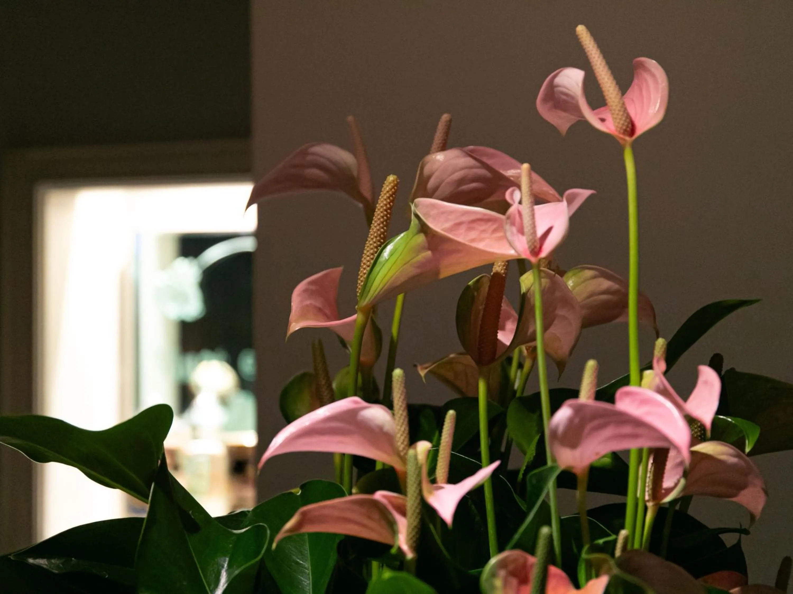 Decorative detail in Victoria Inn Nagasaki