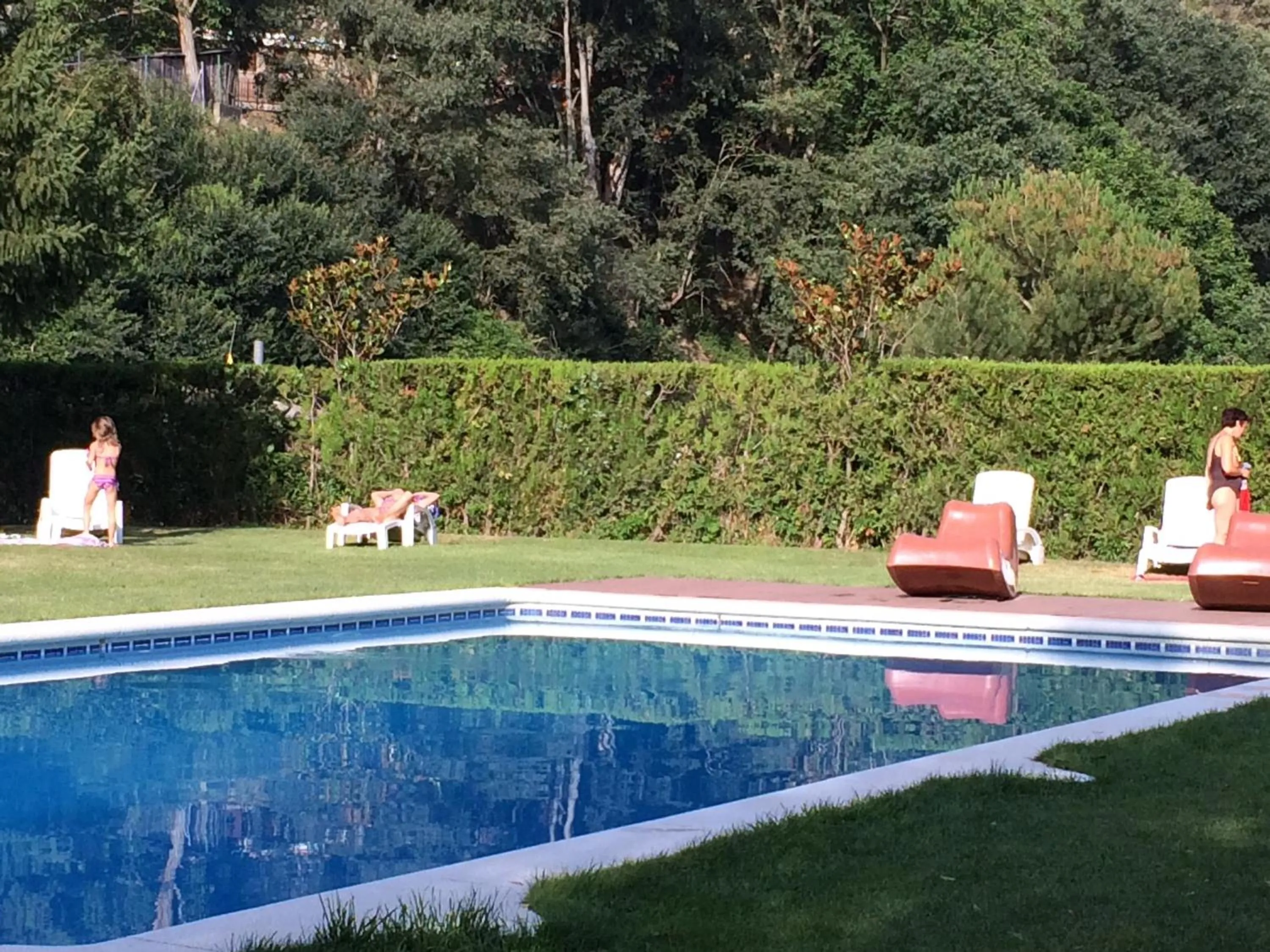 Garden in Hotel Florido