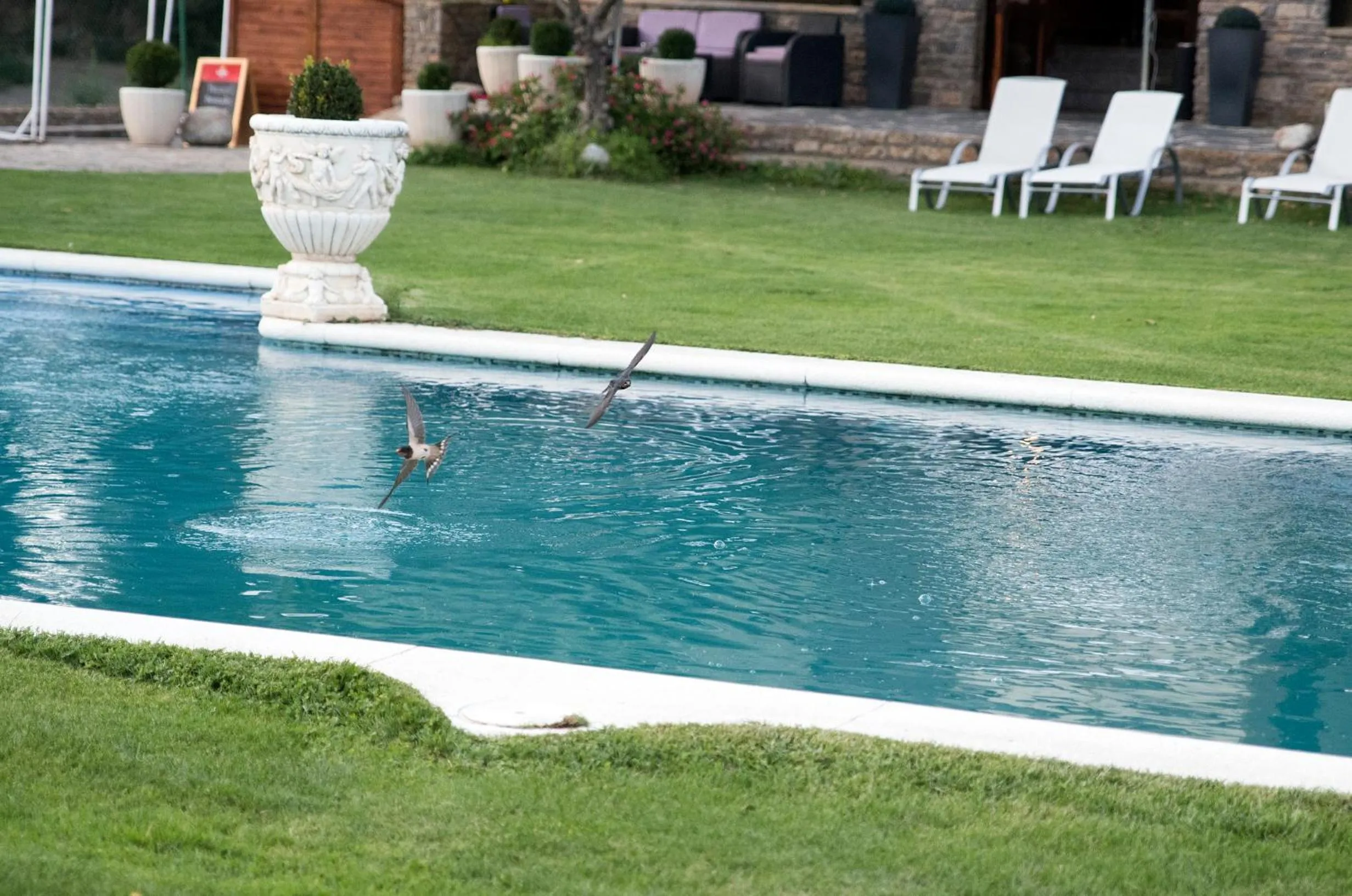 Garden in Hotel Florido