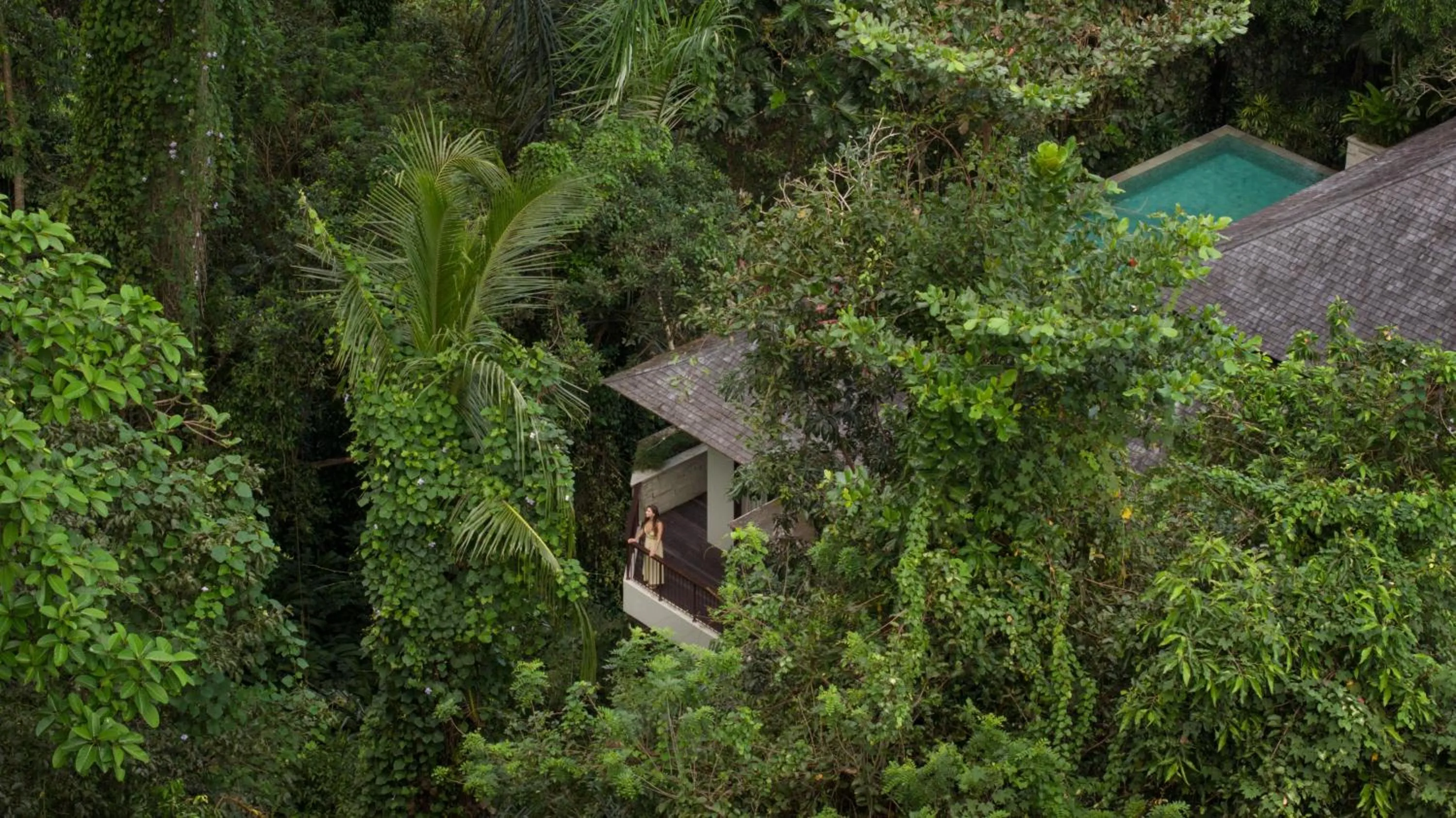 Pool view in Impiana Private Villas Ubud