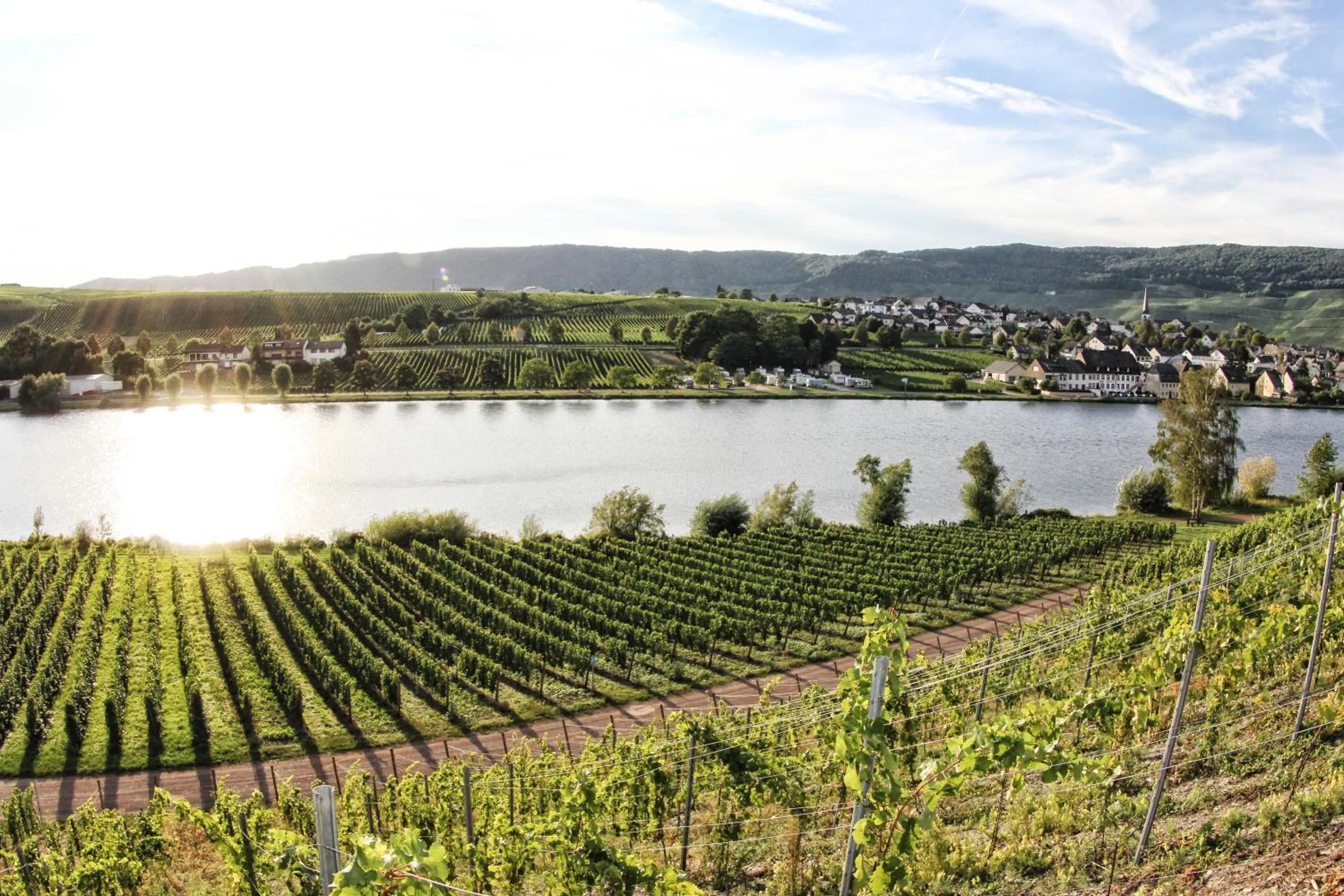 Other in Hotel- Weingut- Moselloreley