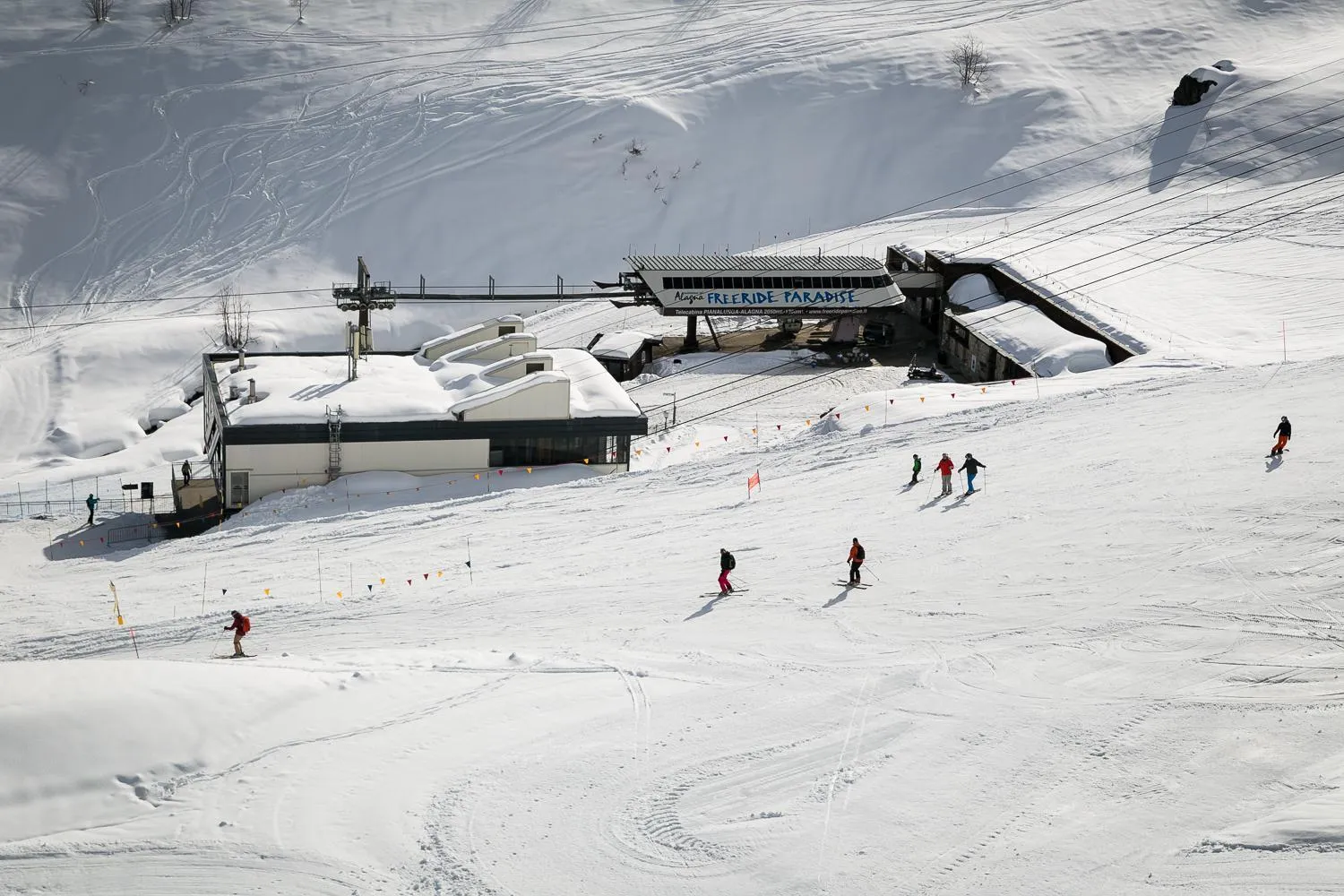 Skiing in NH Collection Alagna Mirtillo Rosso