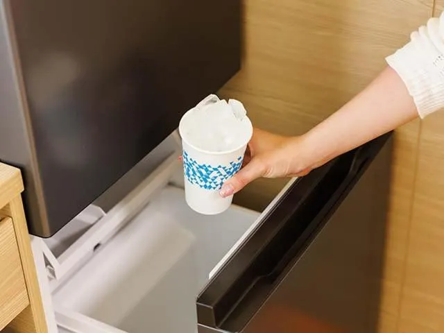 HOTEL DREAM GATE maihama - Main & Annex